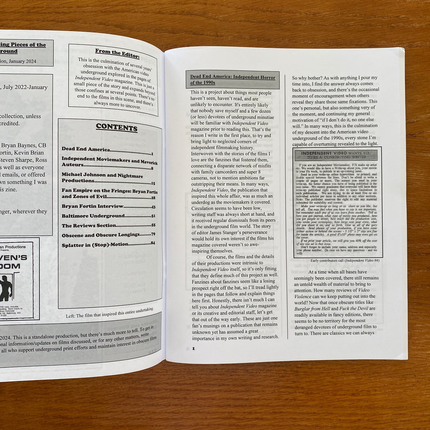 Subterranean Cinema: Missing Pieces of the US Video Underground