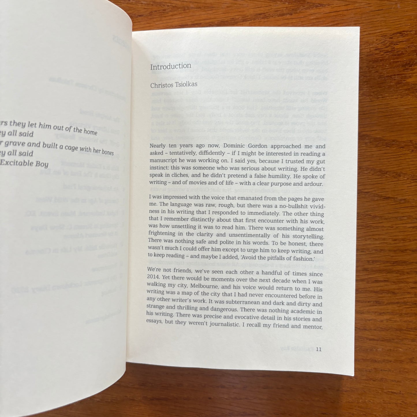 Excitable Boy: Essays on Risk - Dominic Gordon