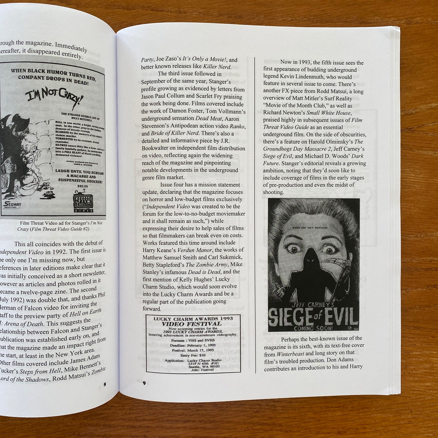 Subterranean Cinema: Missing Pieces of the US Video Underground