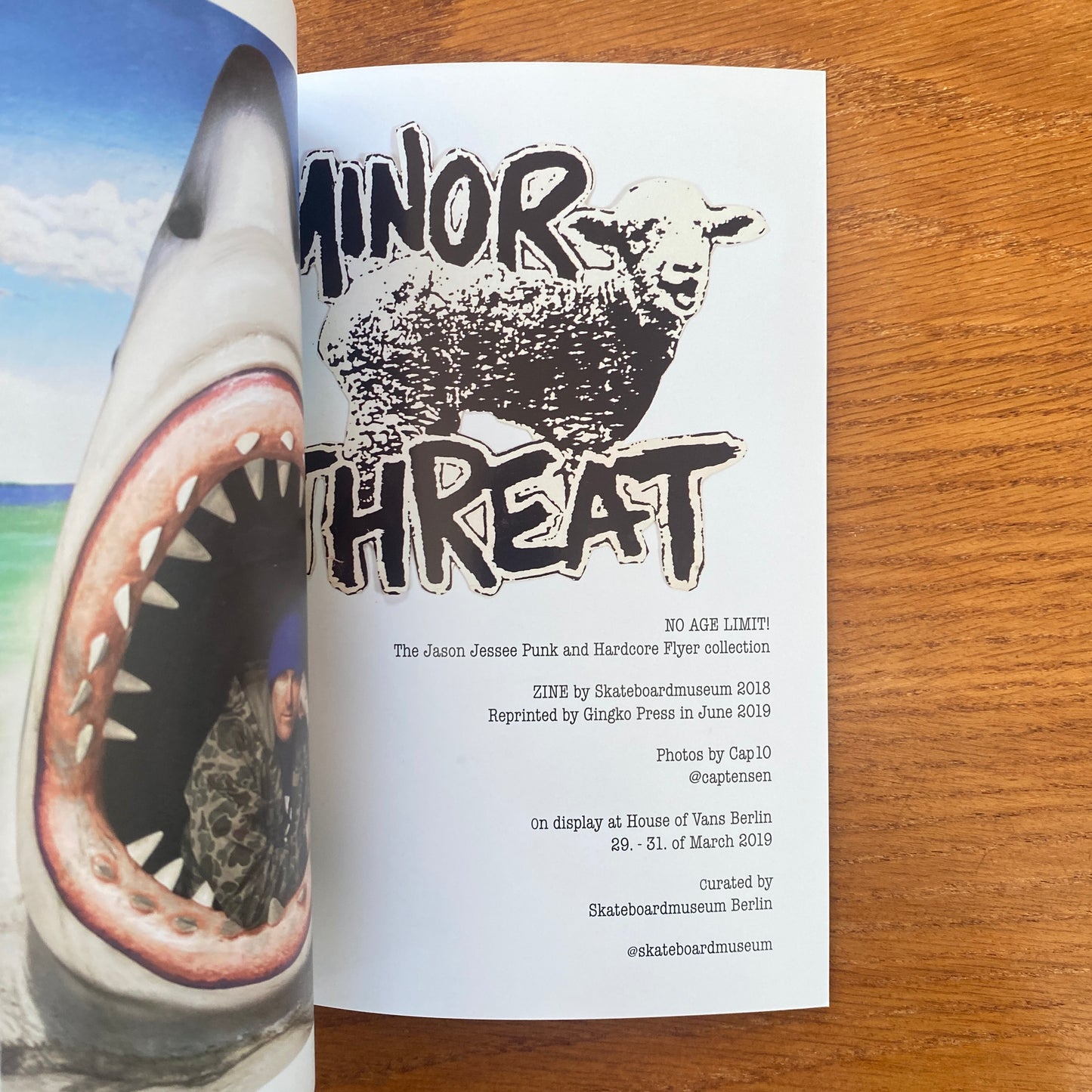 Skateboard Museum Zine Collection Box Set