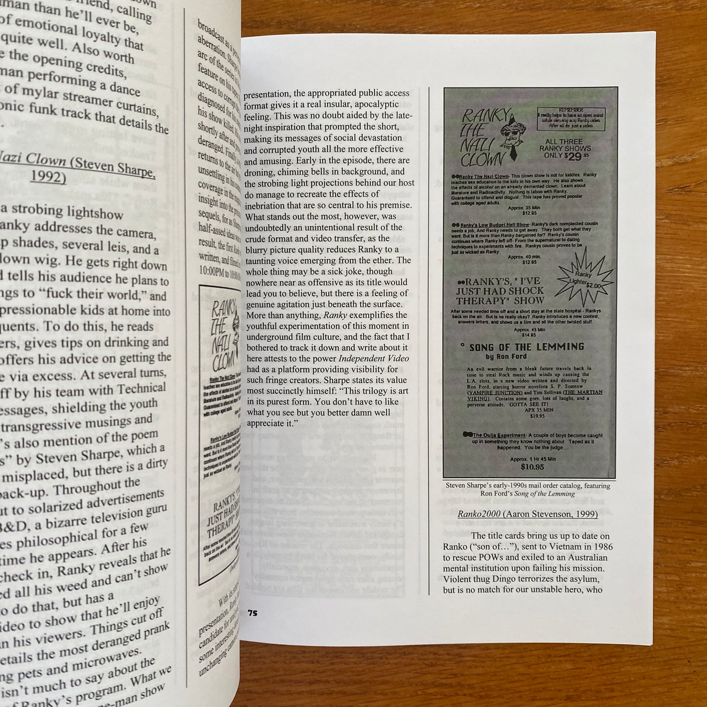 Subterranean Cinema: Missing Pieces of the US Video Underground