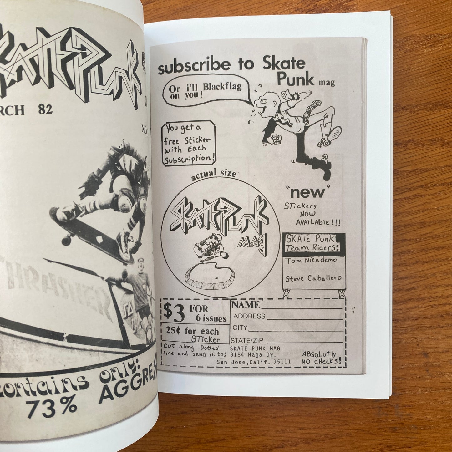 Skateboard Museum Zine Collection Box Set