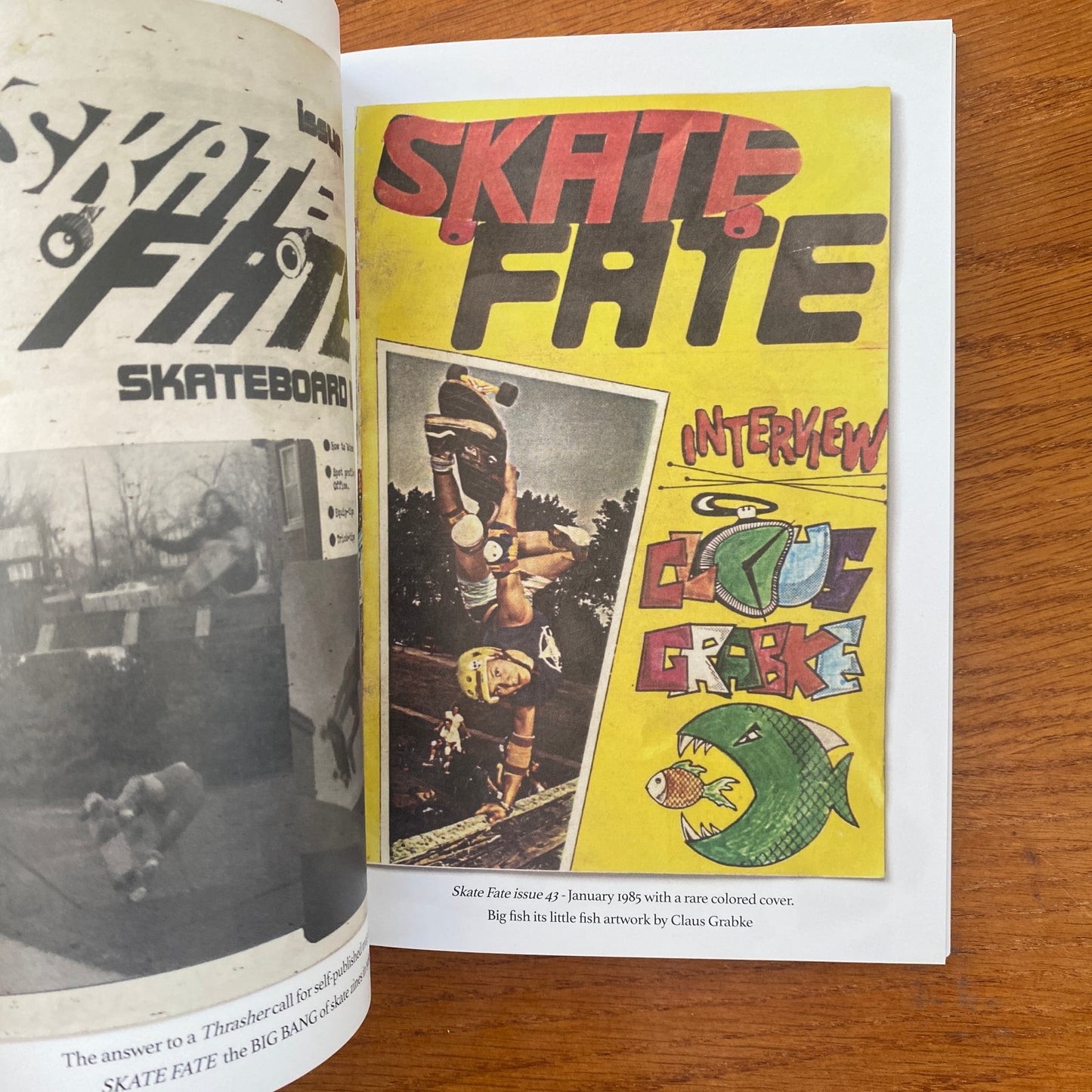 Skateboard Museum Zine Collection Box Set