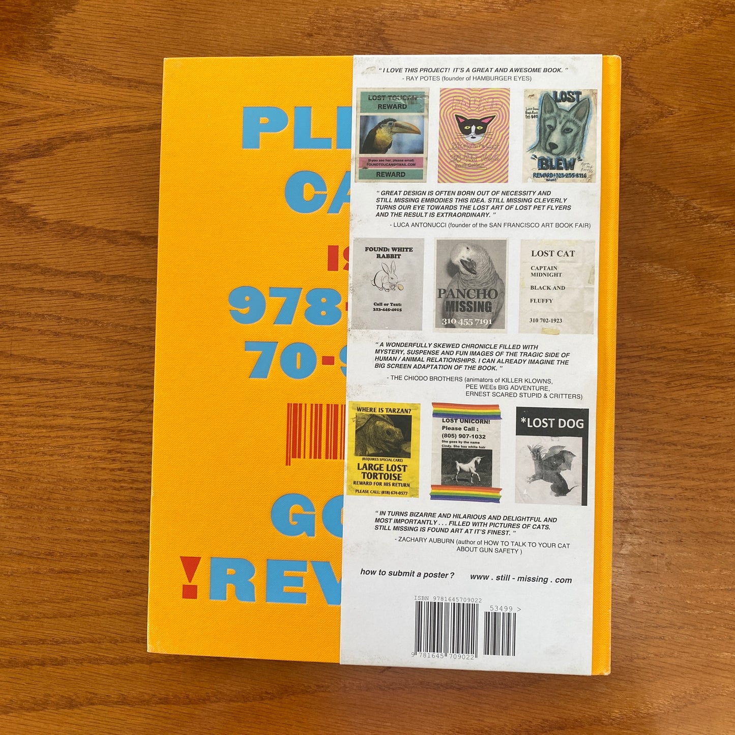 Still Missing: the Folk Art of Pet Posters - Giordano Castranova