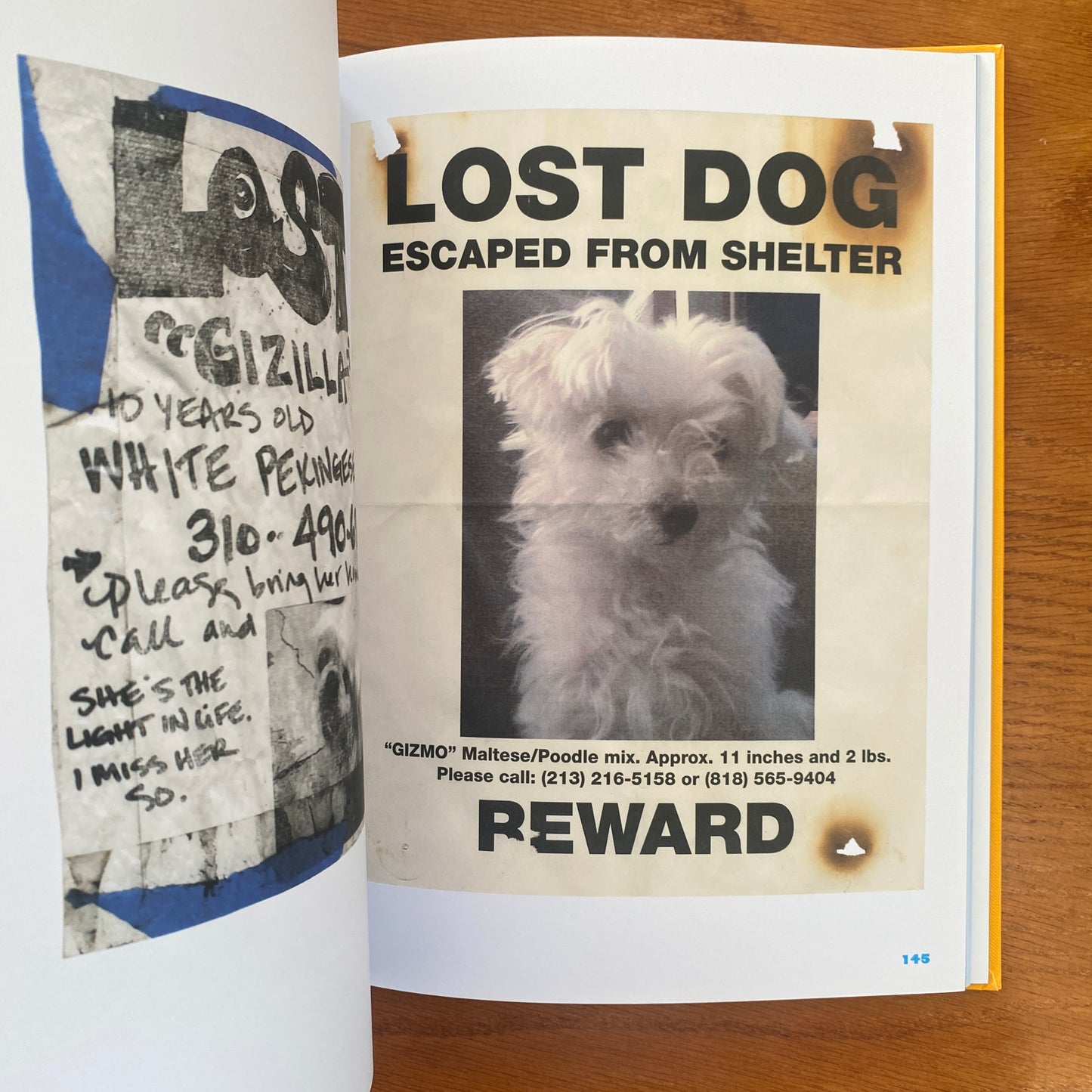 Still Missing: the Folk Art of Pet Posters - Giordano Castranova