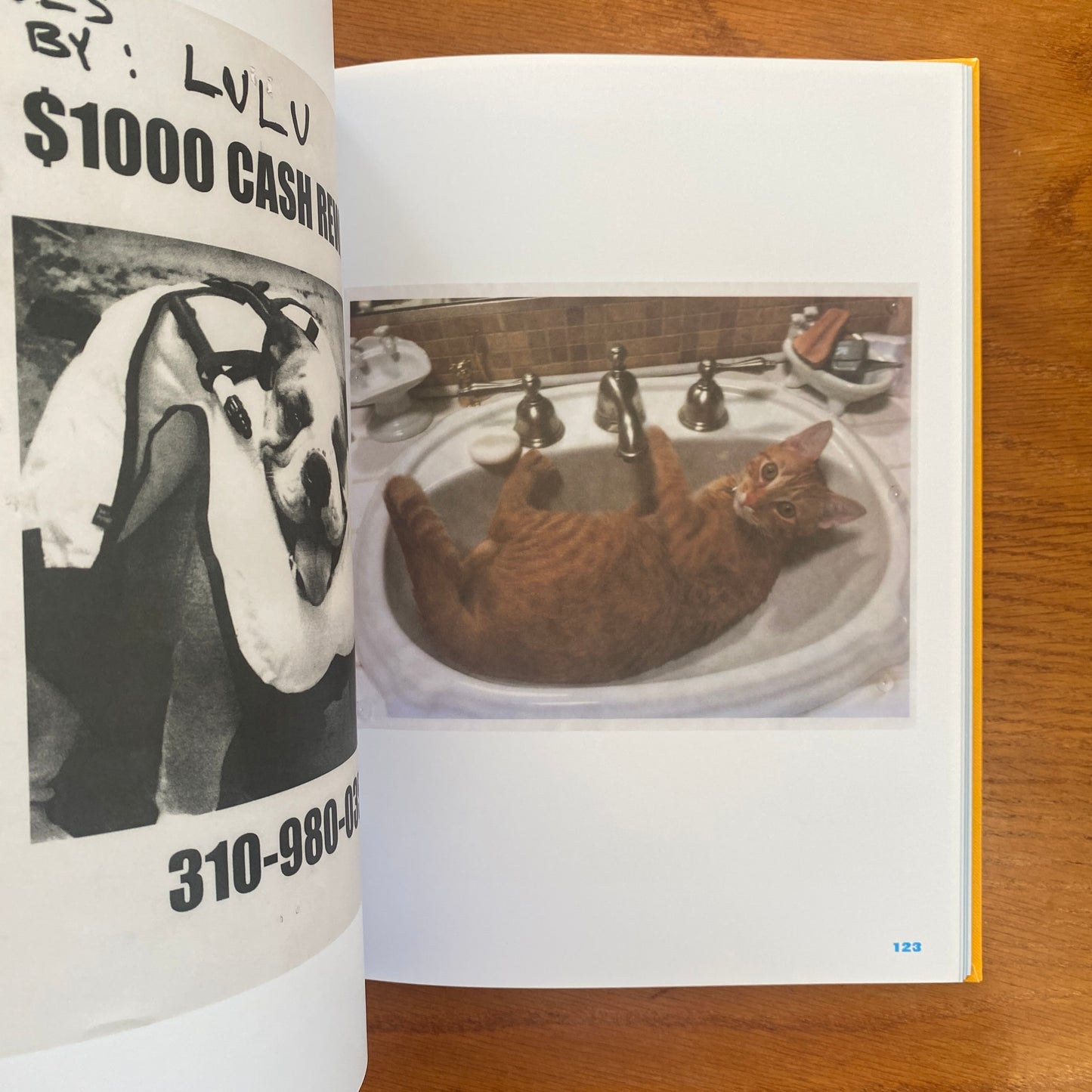 Still Missing: the Folk Art of Pet Posters - Giordano Castranova