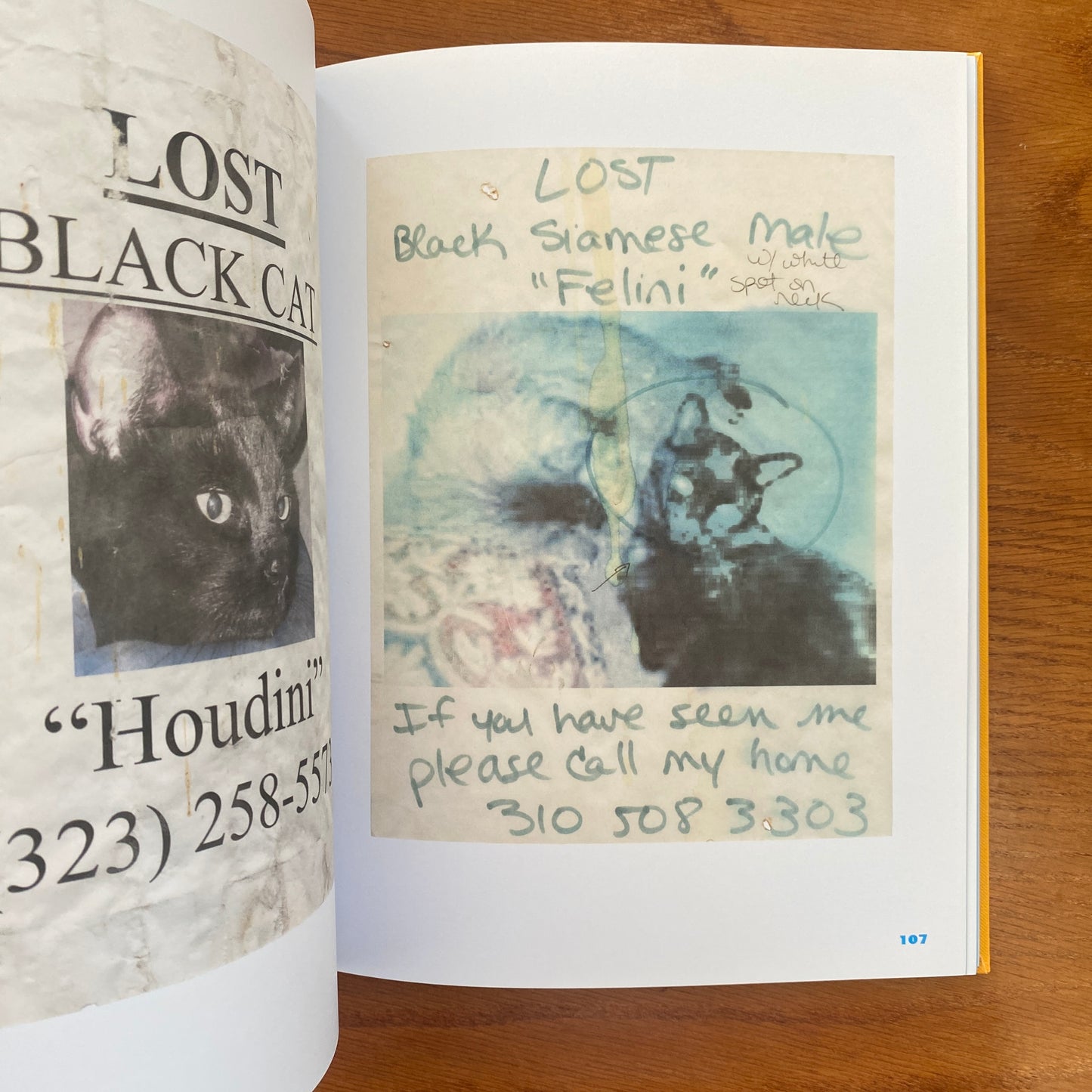 Still Missing: the Folk Art of Pet Posters - Giordano Castranova