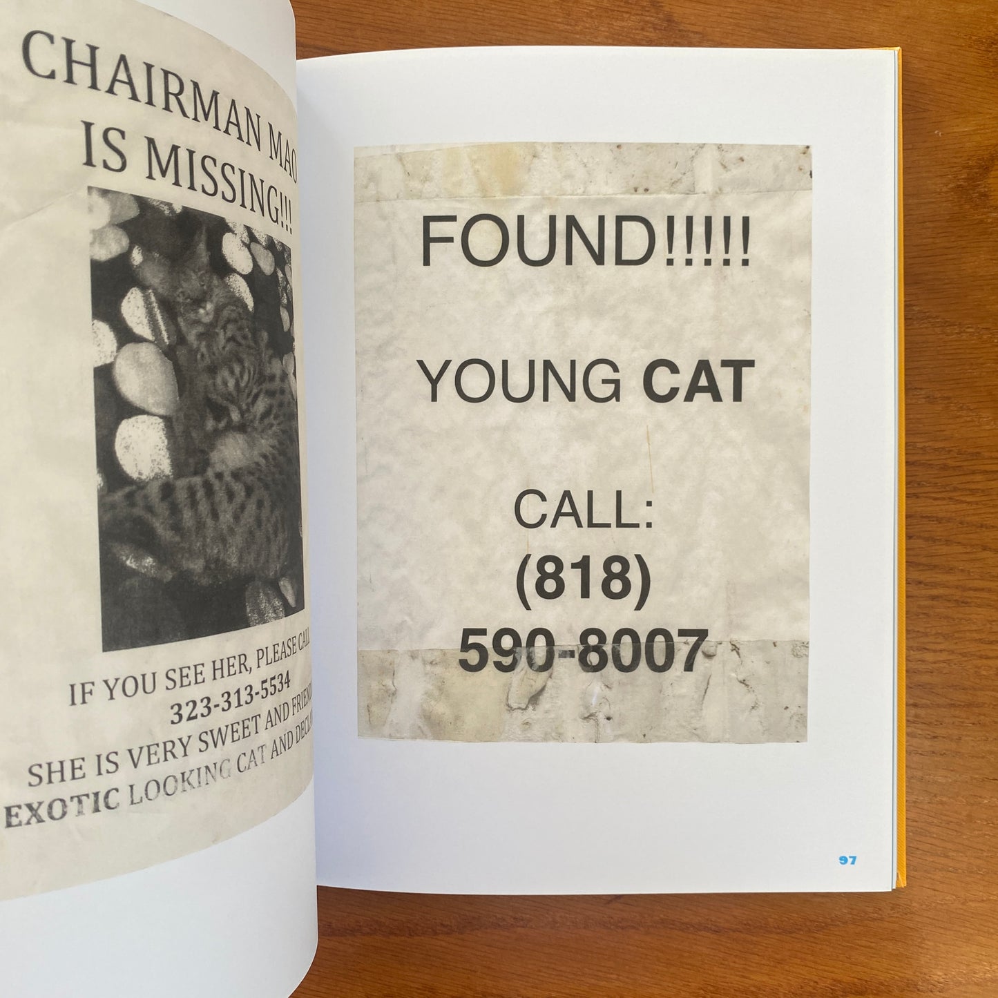 Still Missing: the Folk Art of Pet Posters - Giordano Castranova