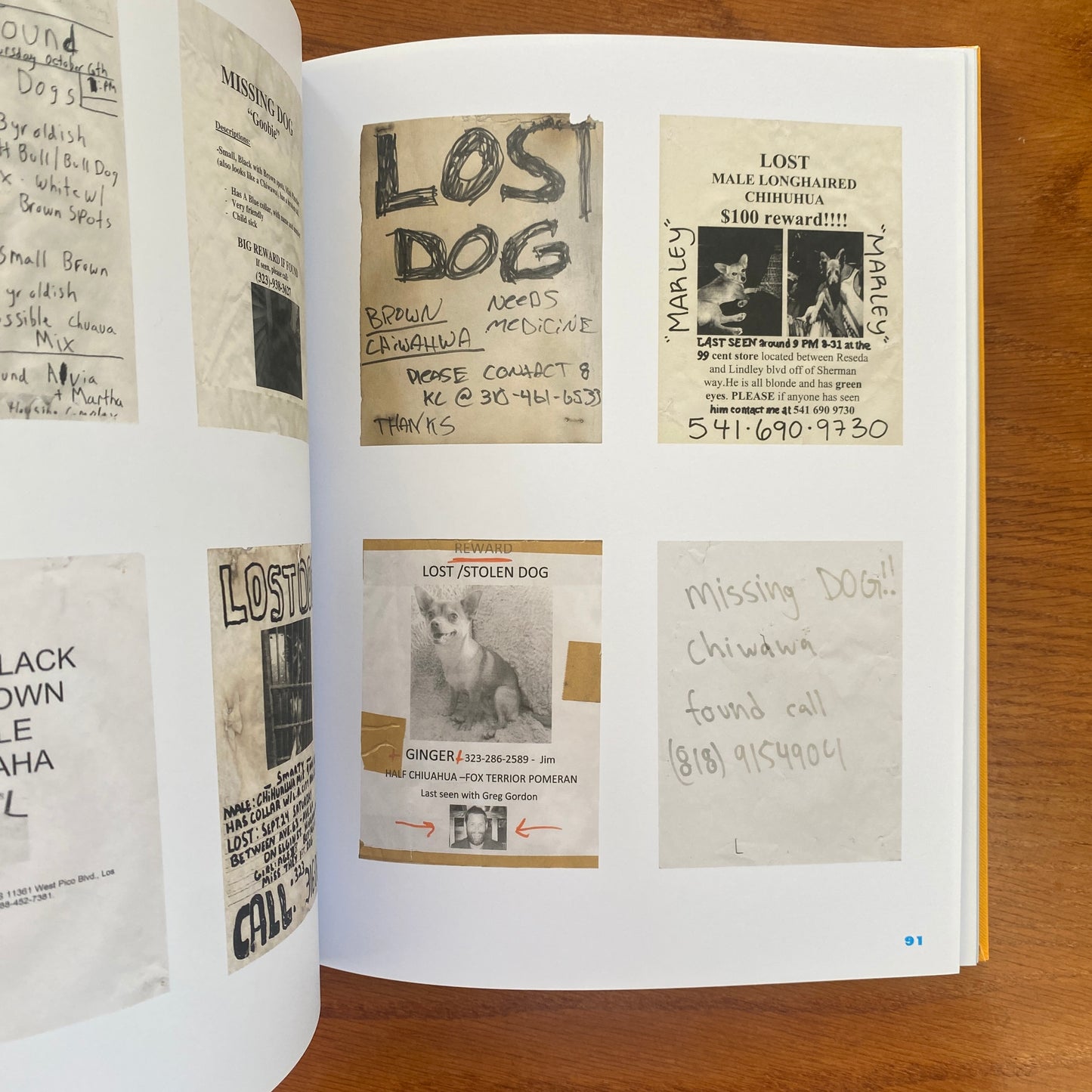 Still Missing: the Folk Art of Pet Posters - Giordano Castranova