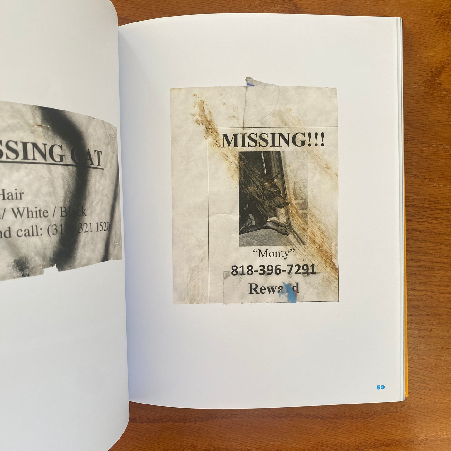 Still Missing: the Folk Art of Pet Posters - Giordano Castranova