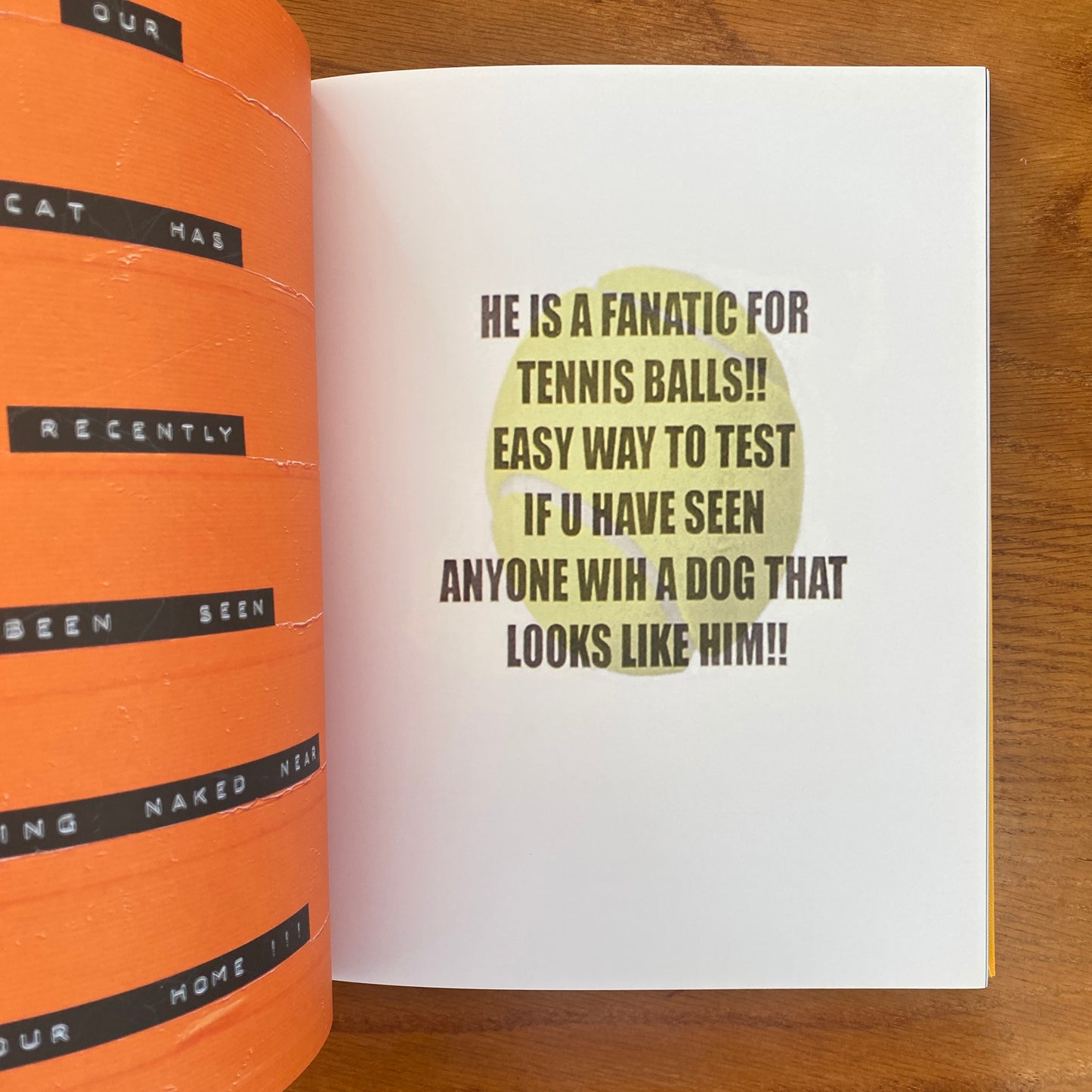 Still Missing: the Folk Art of Pet Posters - Giordano Castranova