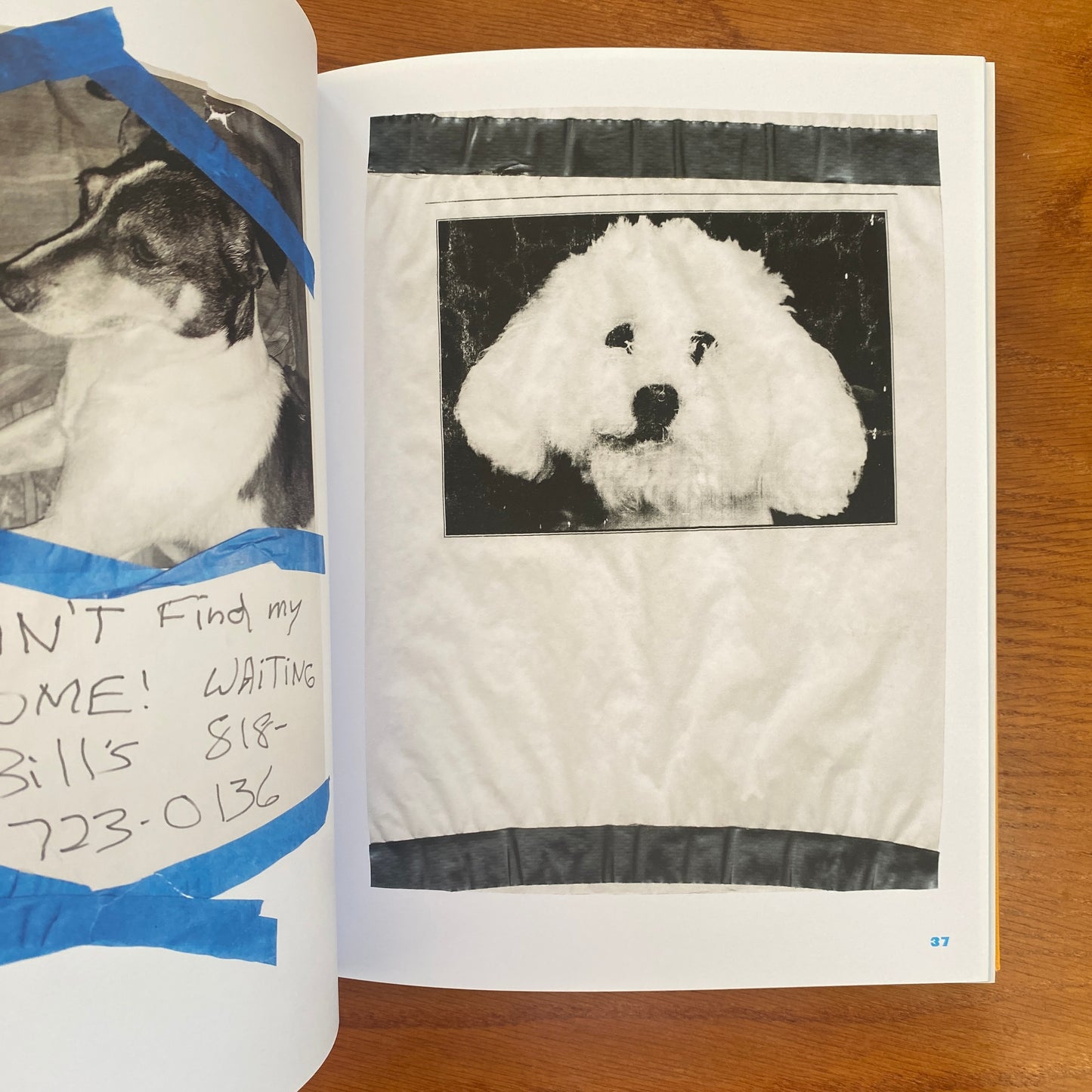 Still Missing: the Folk Art of Pet Posters - Giordano Castranova