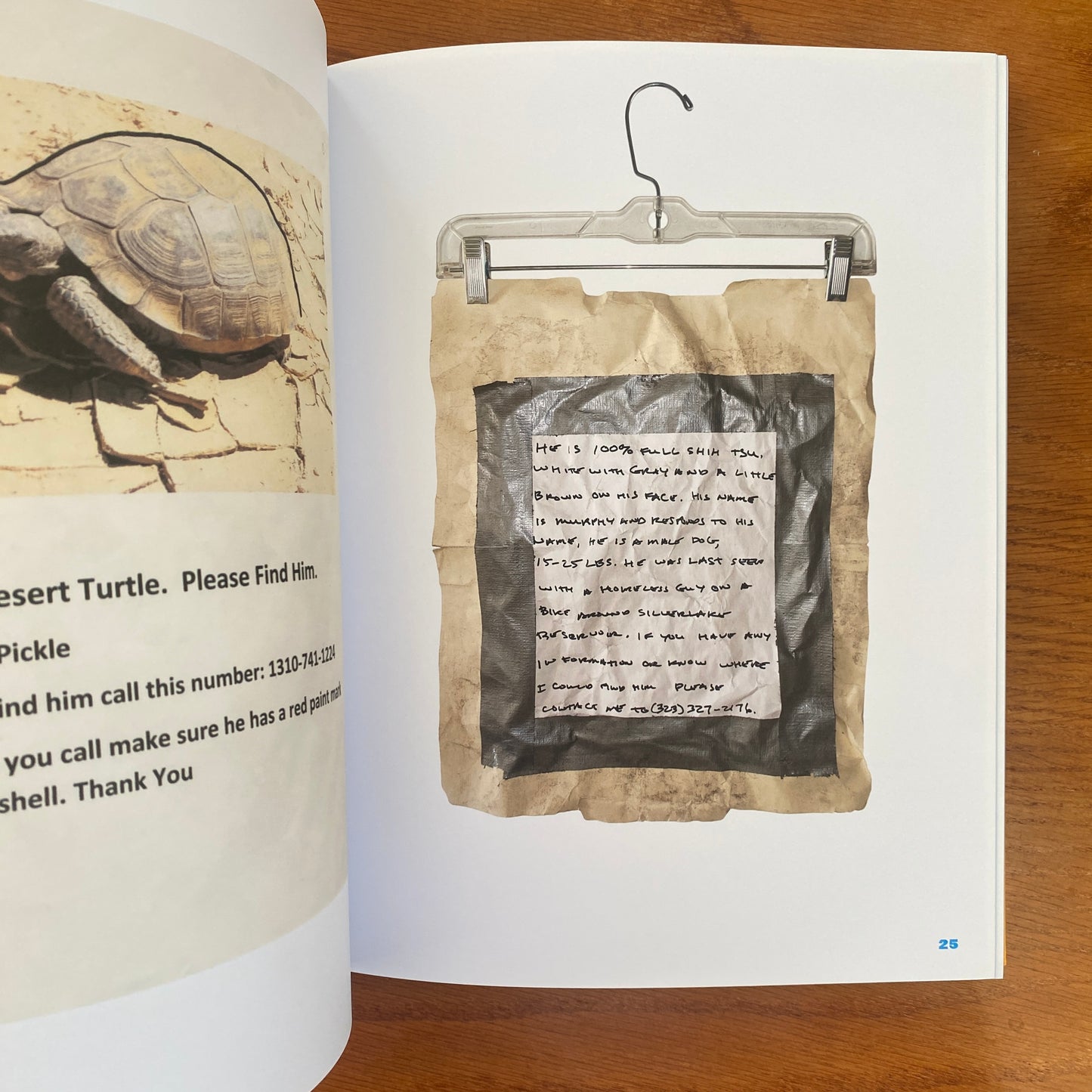 Still Missing: the Folk Art of Pet Posters - Giordano Castranova