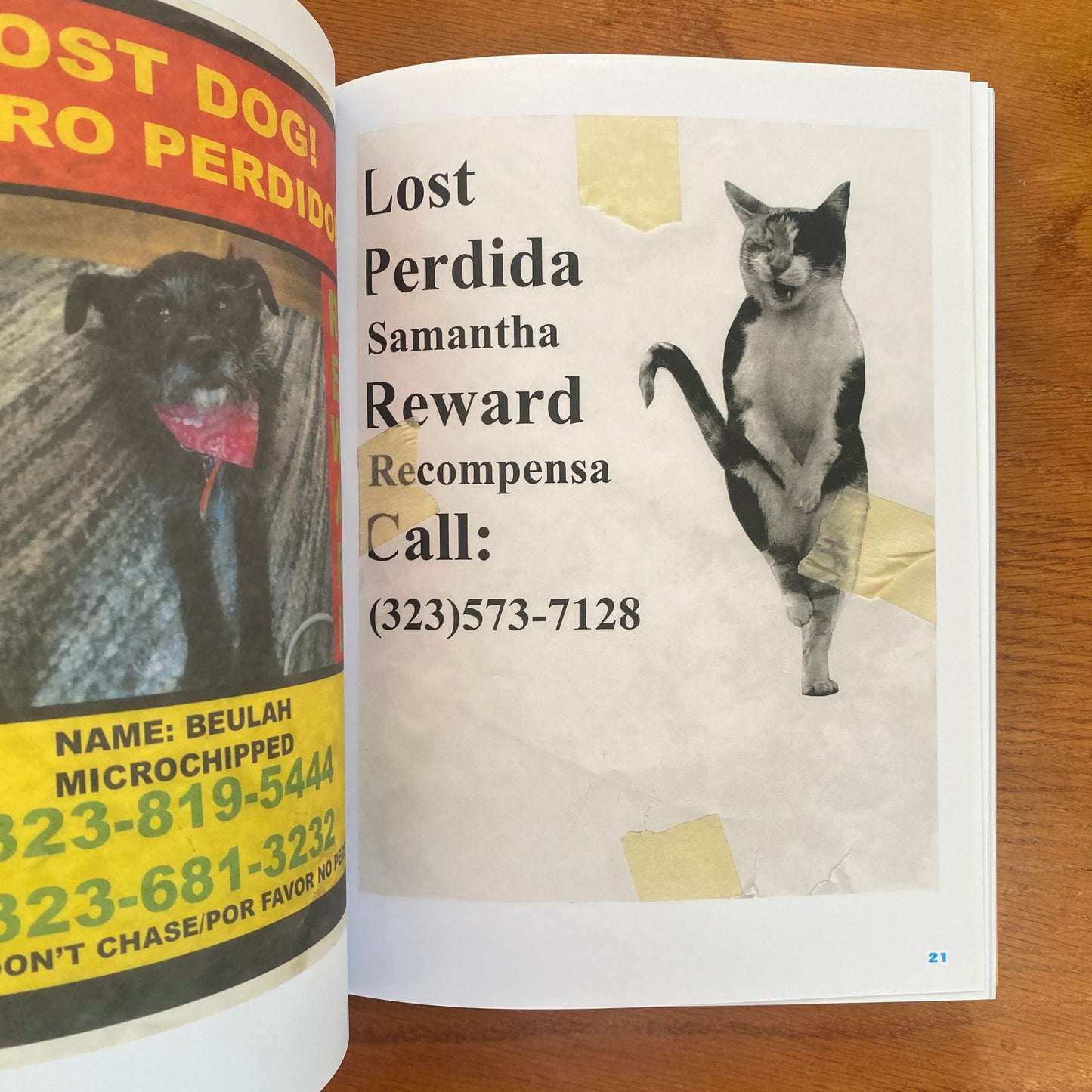 Still Missing: the Folk Art of Pet Posters - Giordano Castranova
