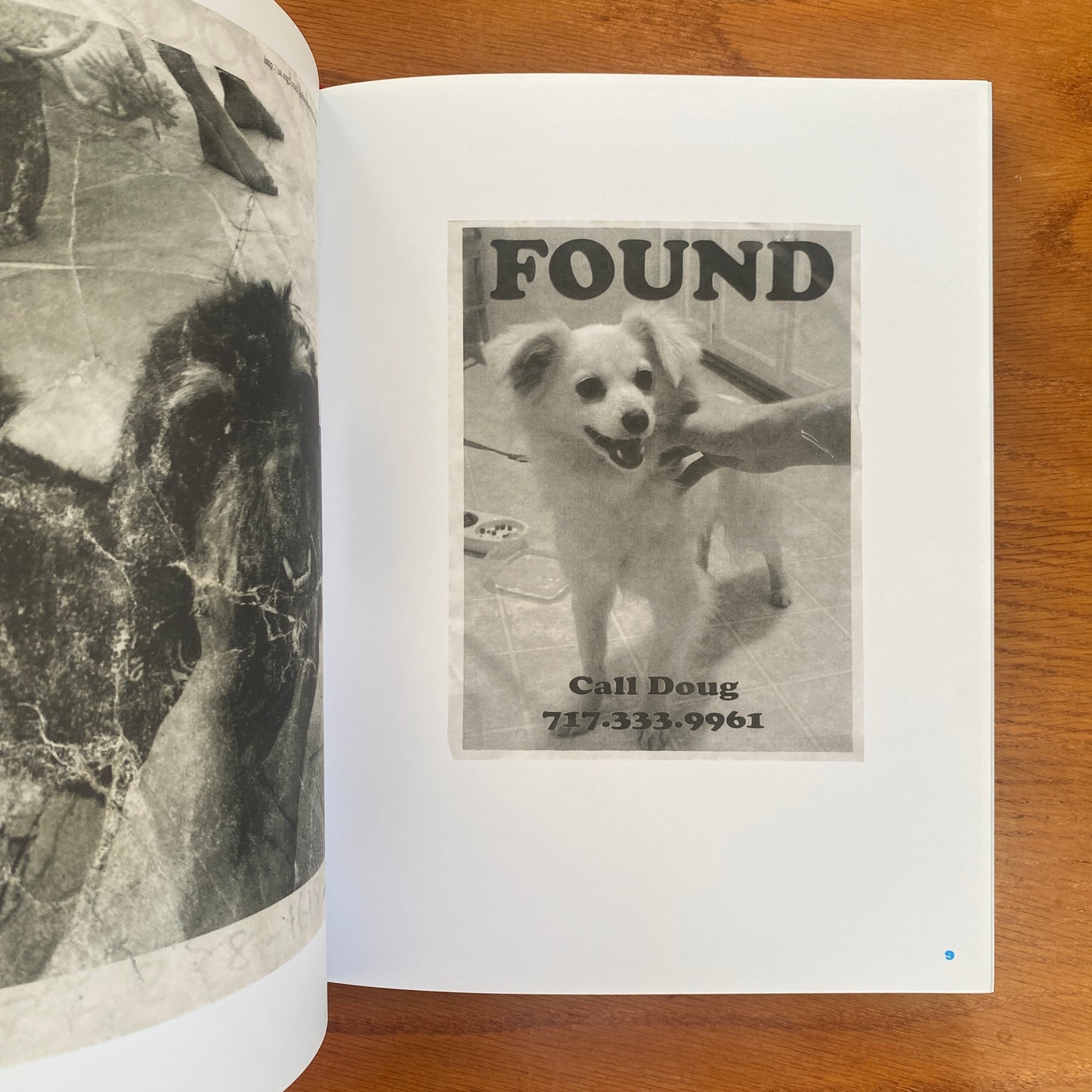 Still Missing: the Folk Art of Pet Posters - Giordano Castranova