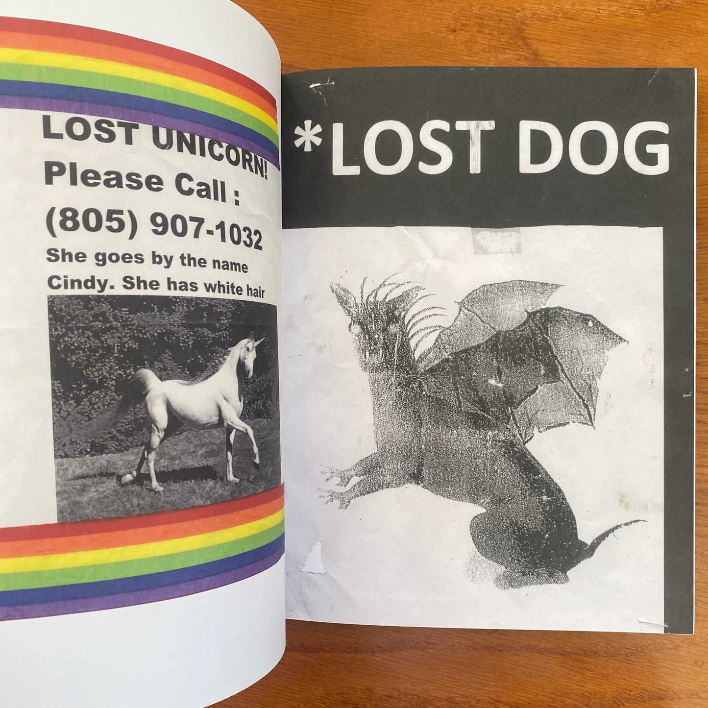 Still Missing: the Folk Art of Pet Posters - Giordano Castranova