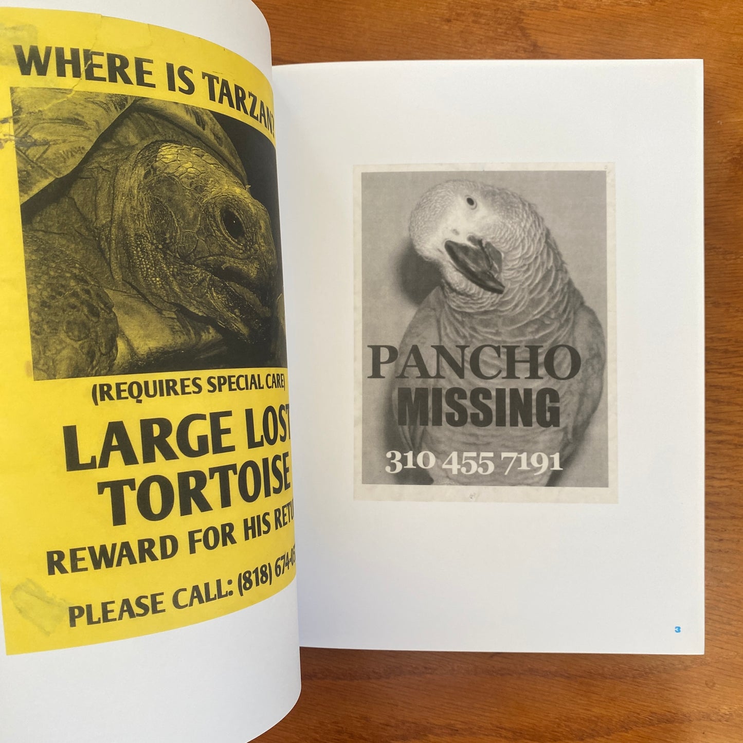 Still Missing: the Folk Art of Pet Posters - Giordano Castranova