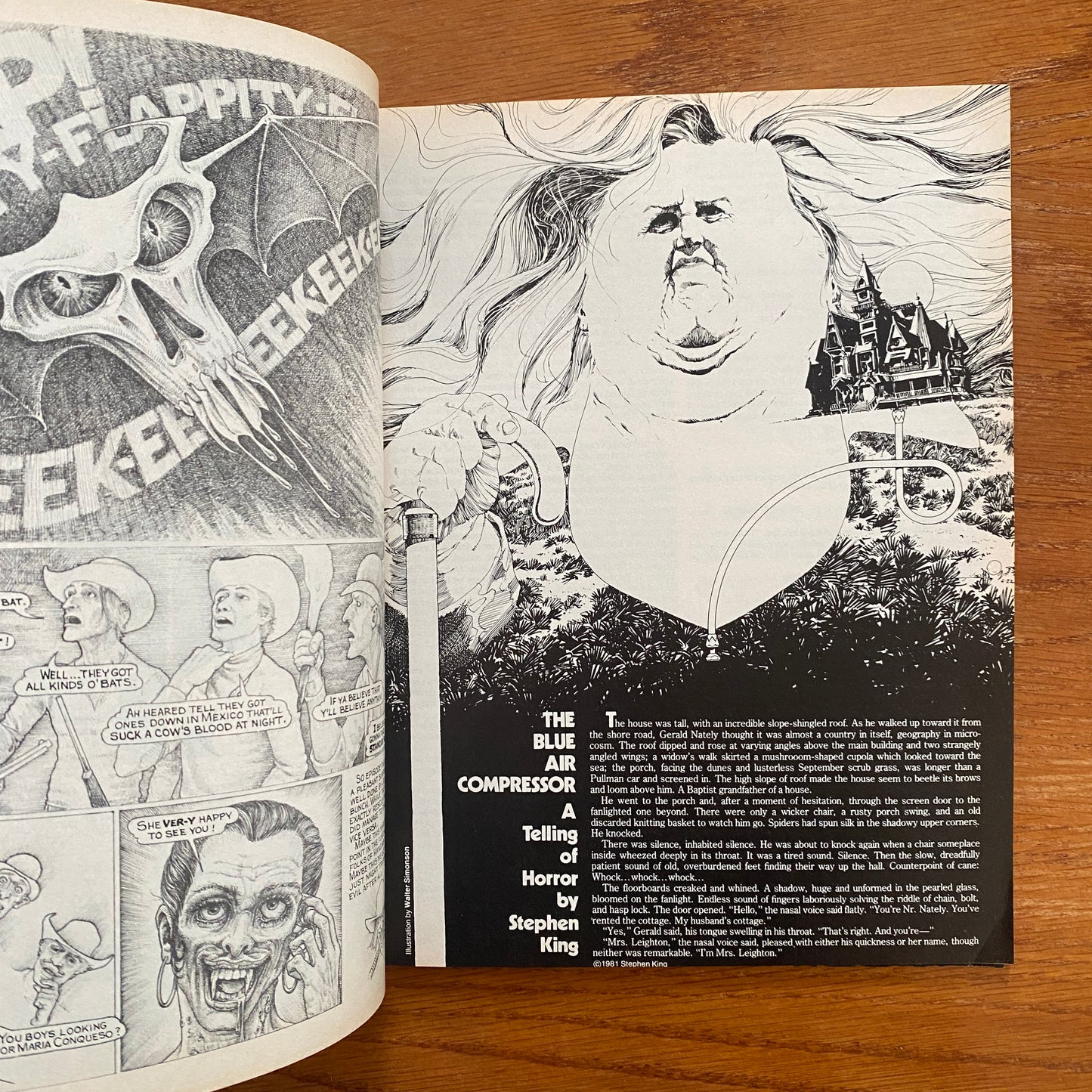 V5.4 Heavy Metal - July 1981