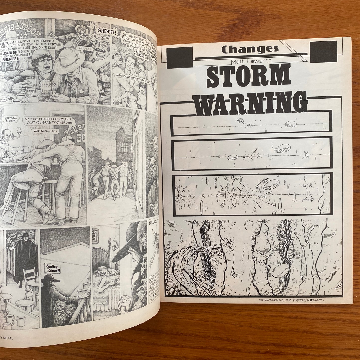 V5.1 Heavy Metal - Apr 1981