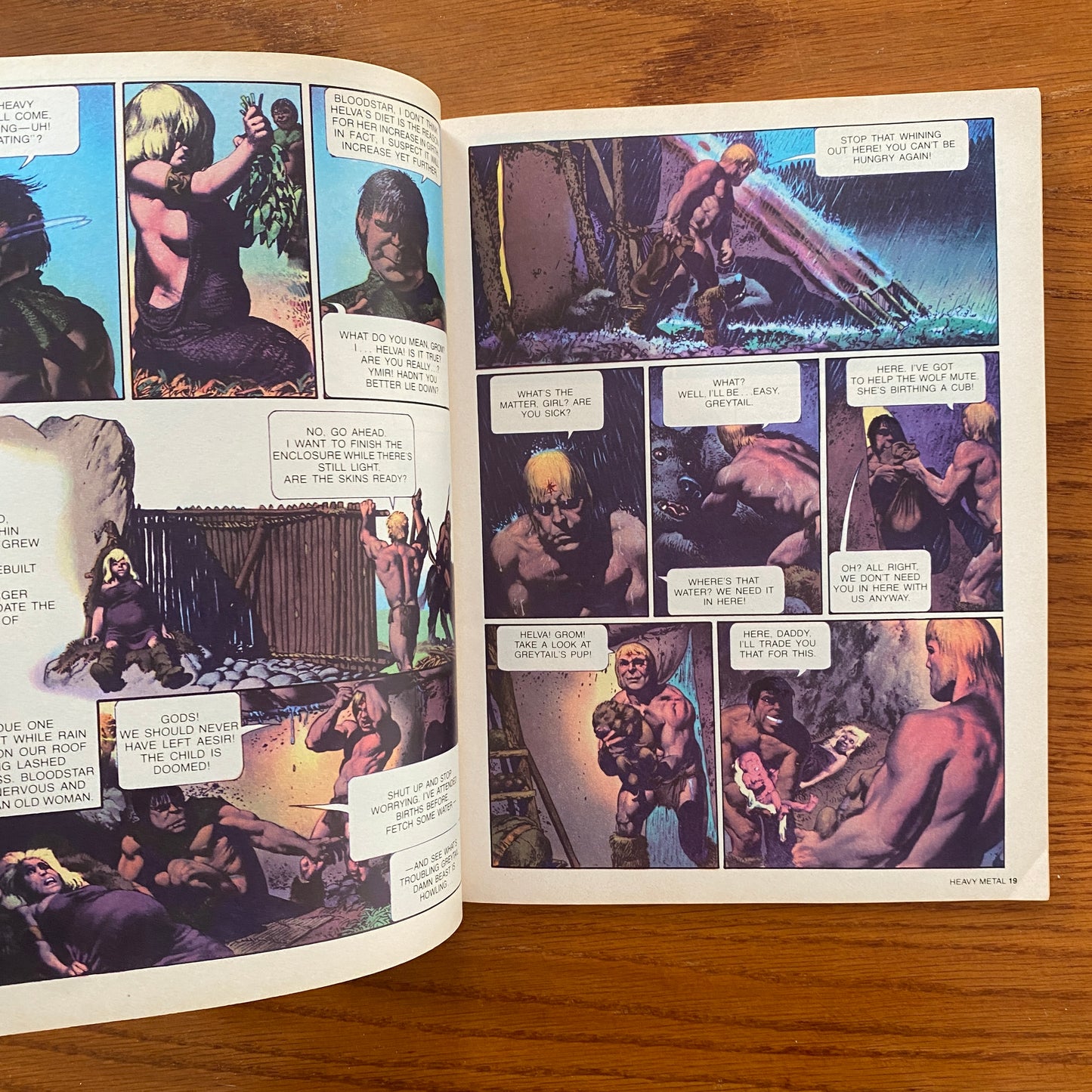 V5.1 Heavy Metal - Apr 1981