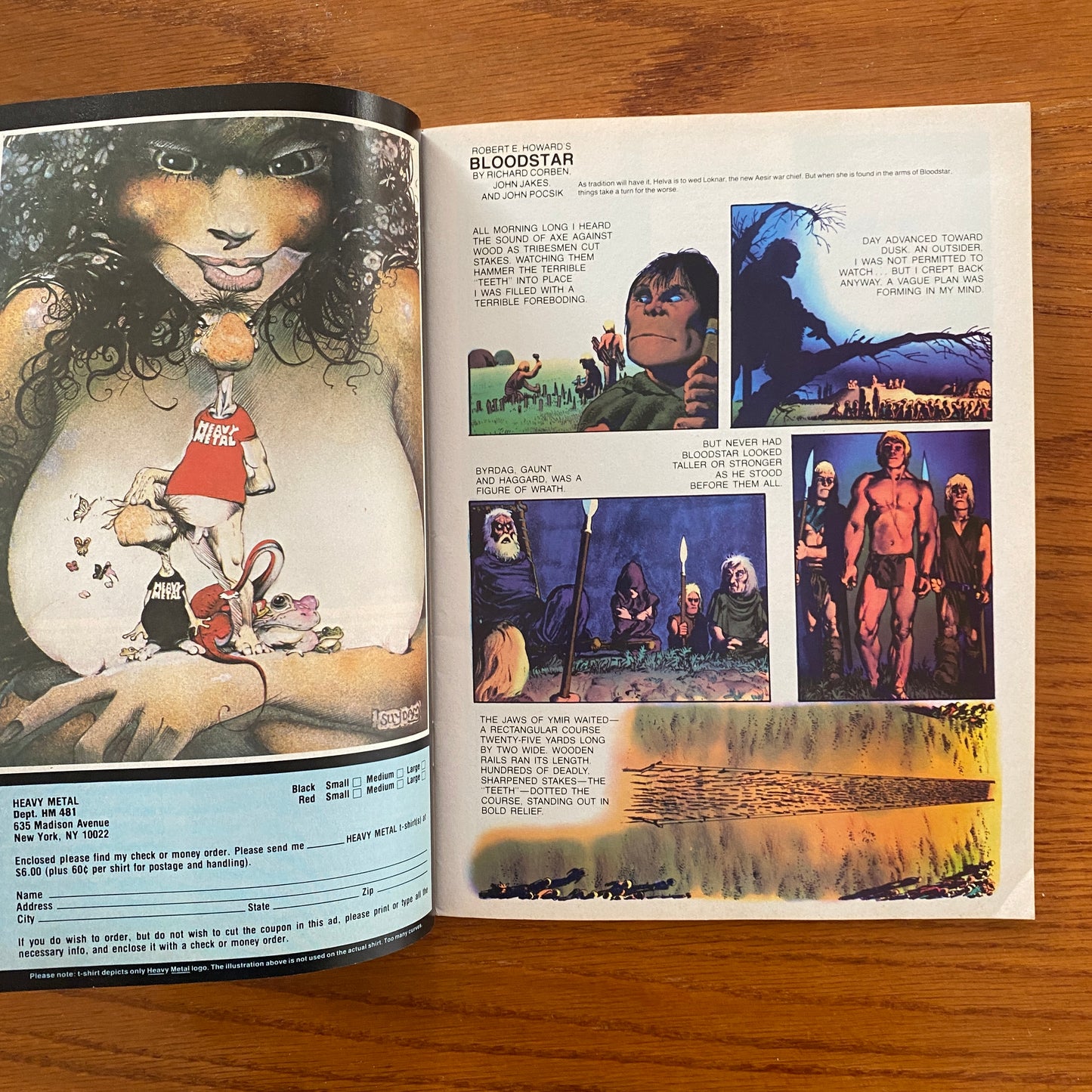 V5.1 Heavy Metal - Apr 1981