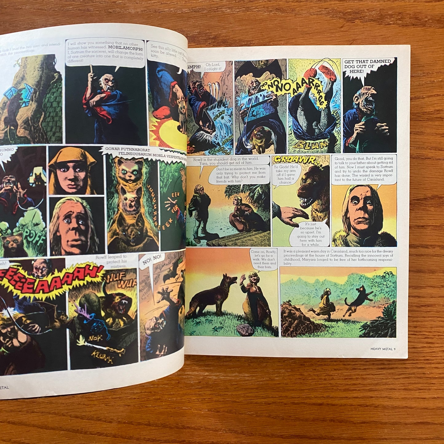 V3.7 Heavy Metal - Nov 1979