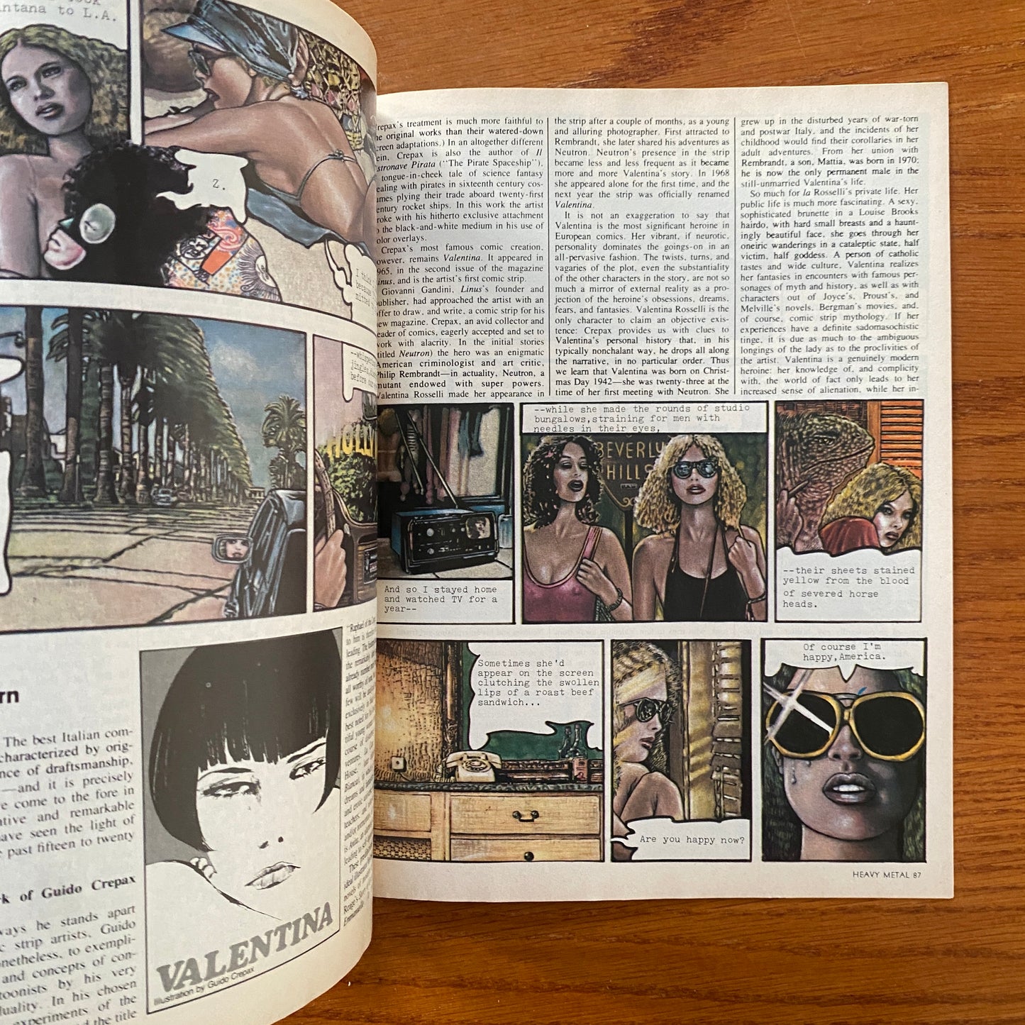 V4.1 Heavy Metal - Apr 1980