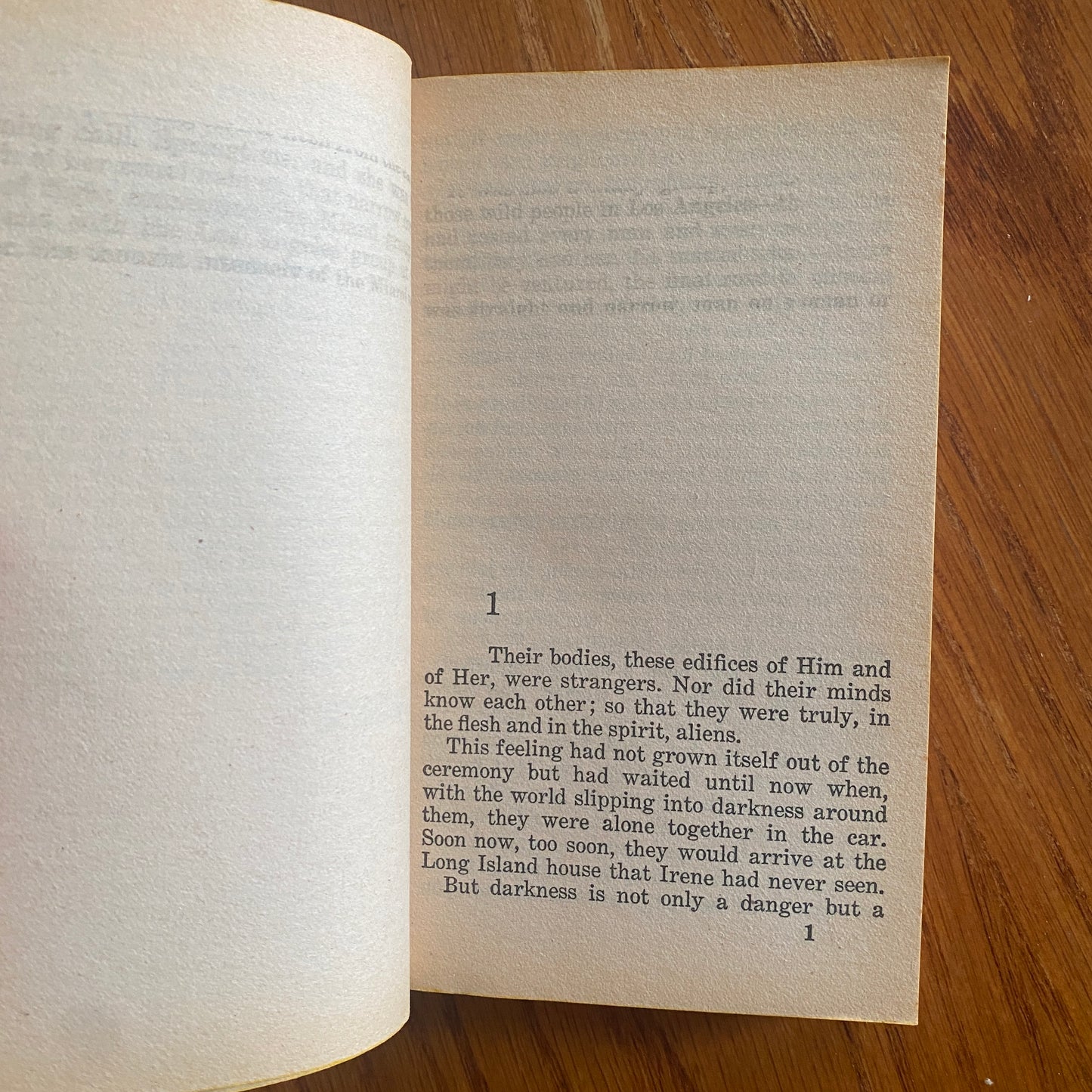 Him: A Novel of Two Women, a Man and the Consummation of a Sexual Trinity - Anonymous