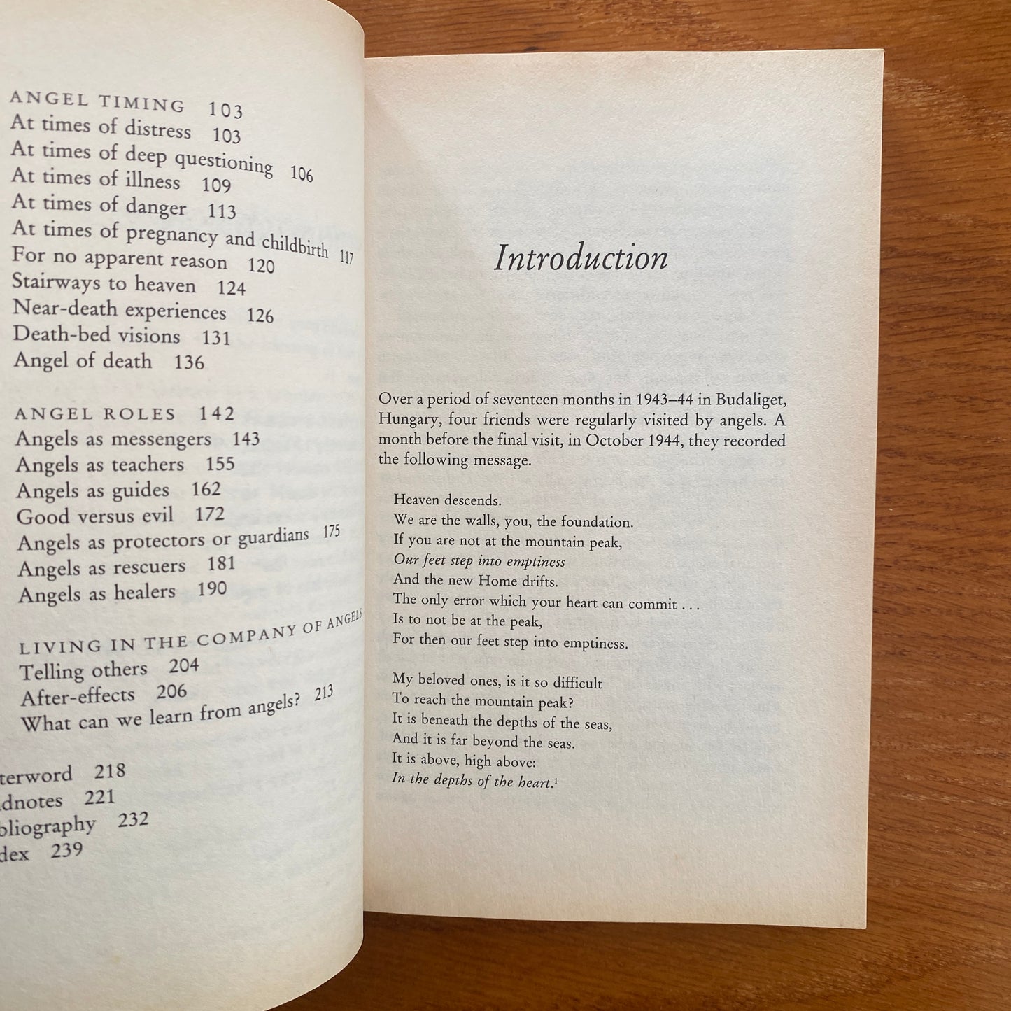 The Company of Angels - Cherie Sutherland PhD
