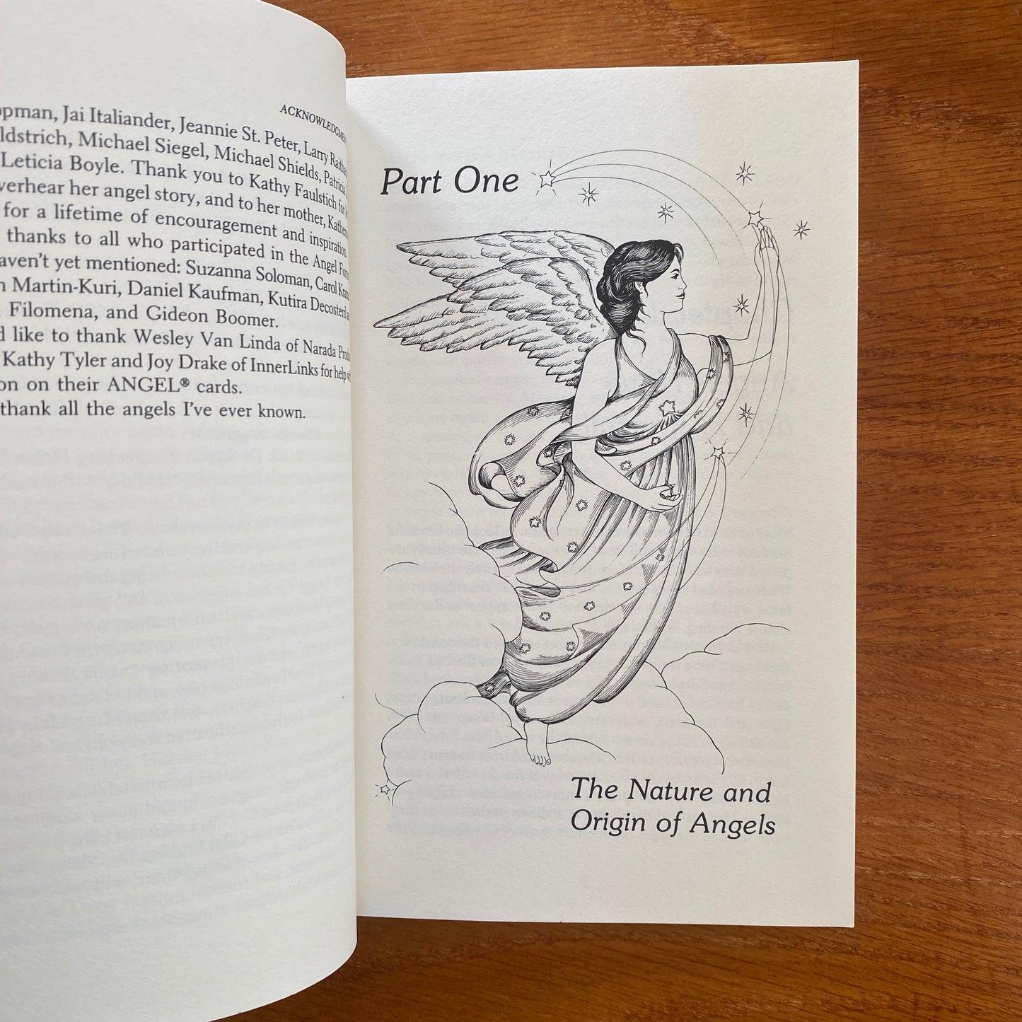 Messengers of Light: The Angels Guide to Spiritual Growth - Terry Lynn Taylor