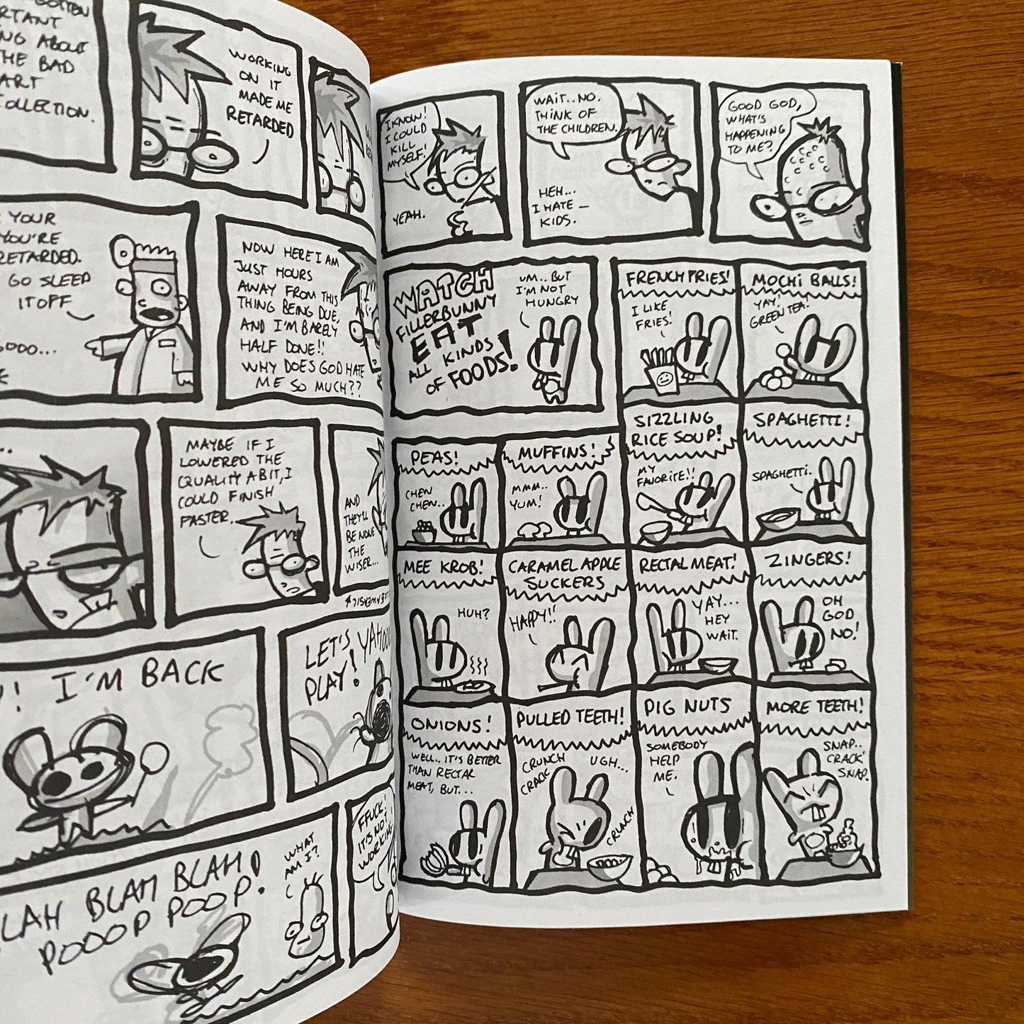 Filler Bunny Ashcan