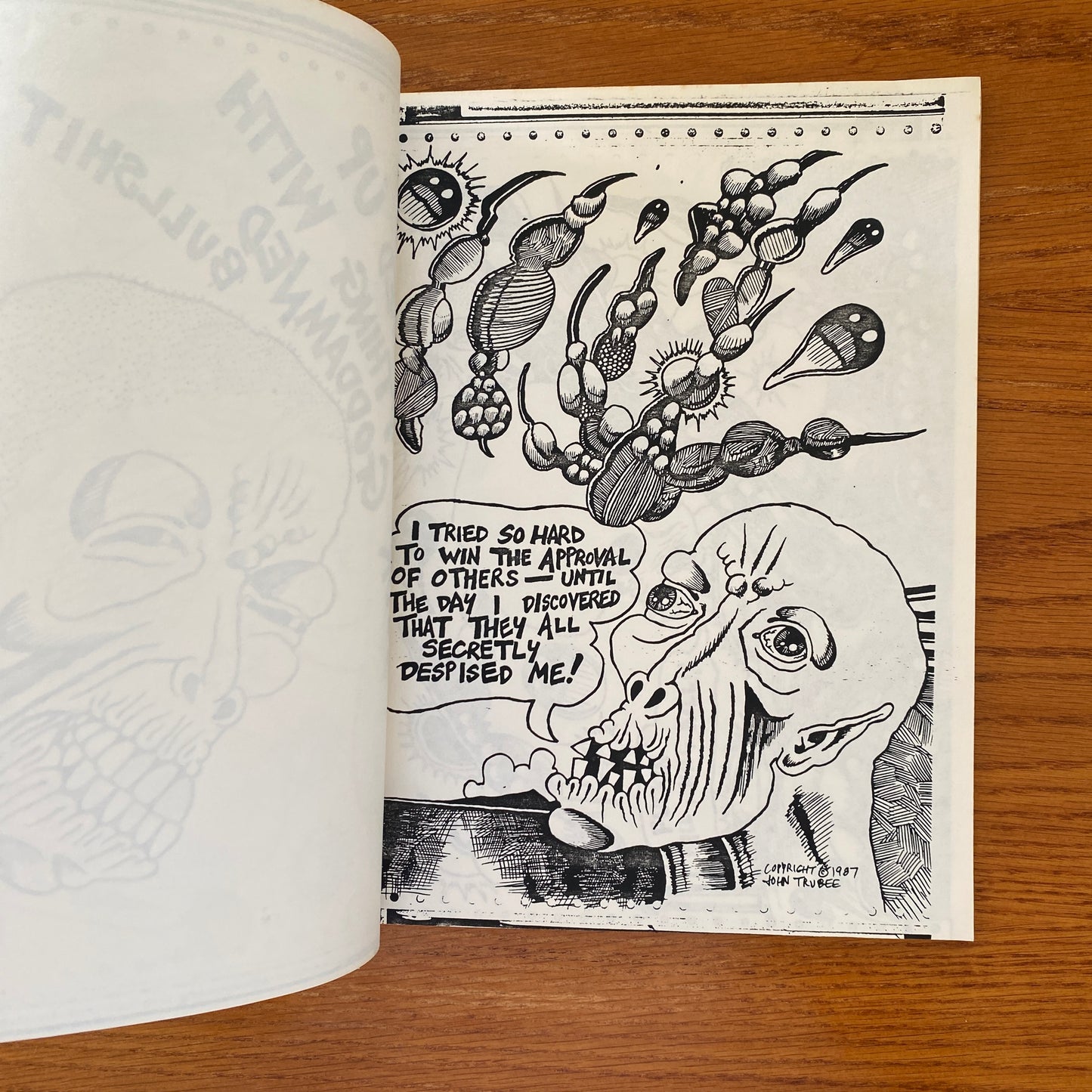 Summer Sun - John Trubee