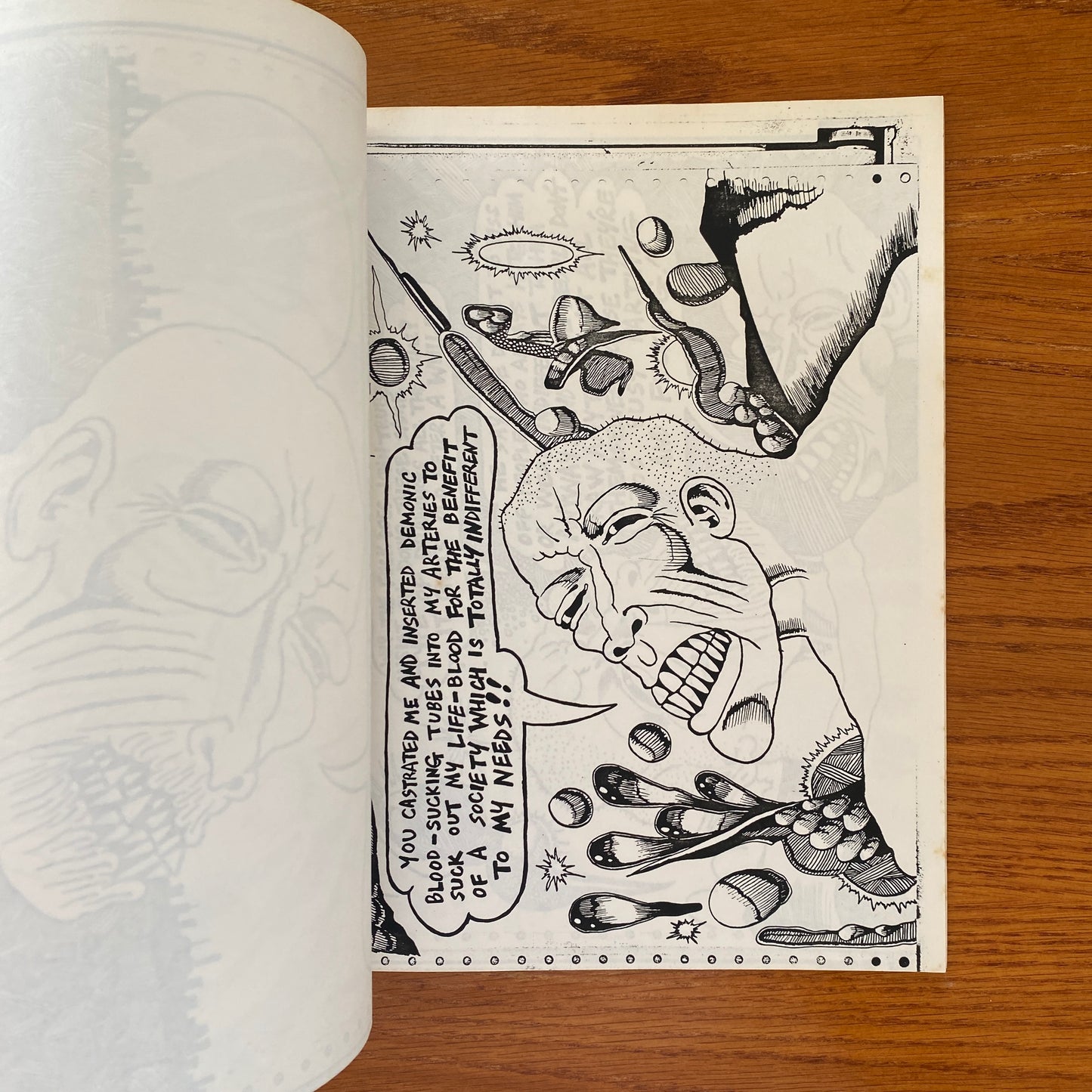 Party And Fuck You Pigs - John Trubee