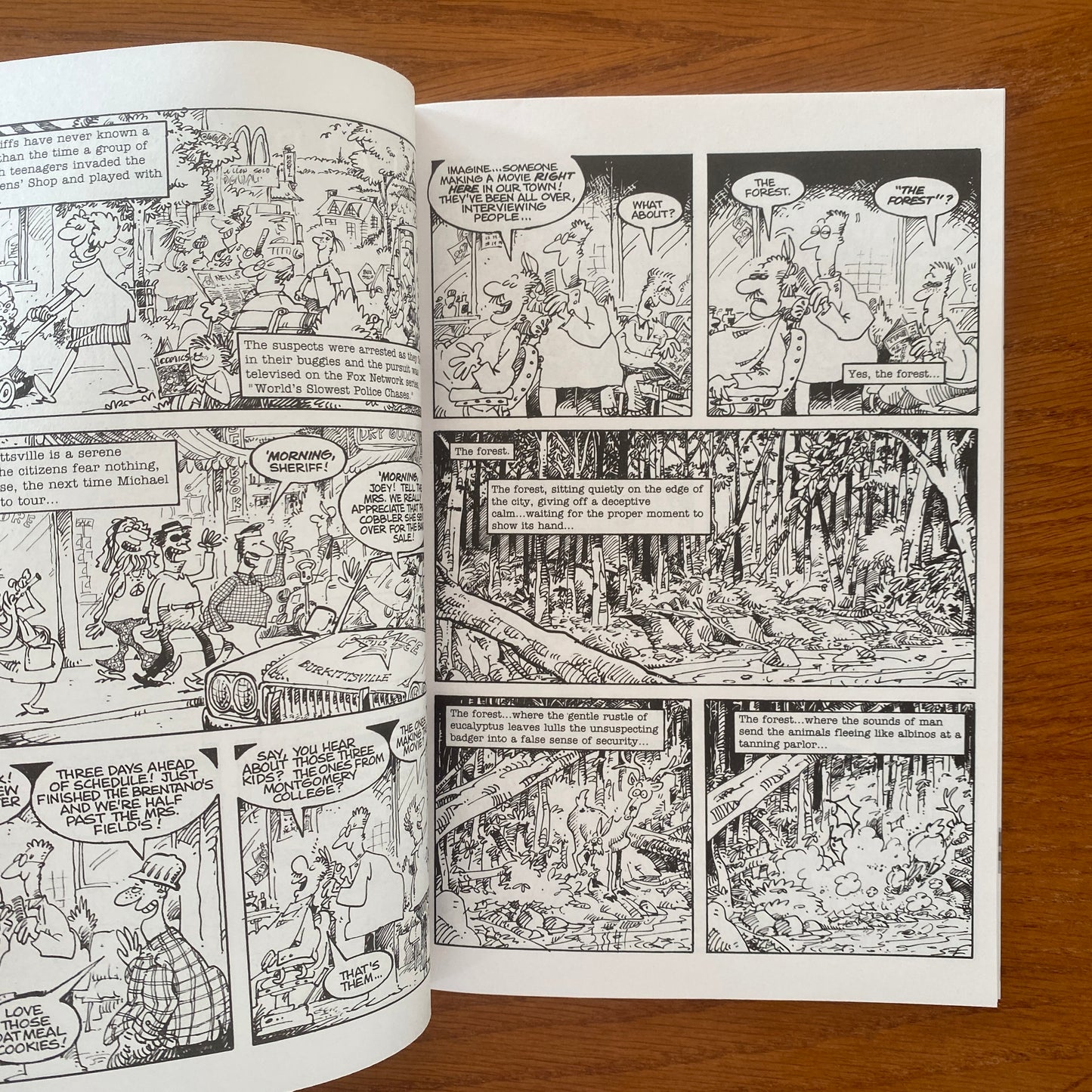 Sergio Aragones Blair Which?