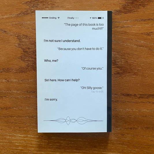 Talk to Siri (What Can I Help You With?) - Ziqing Ye