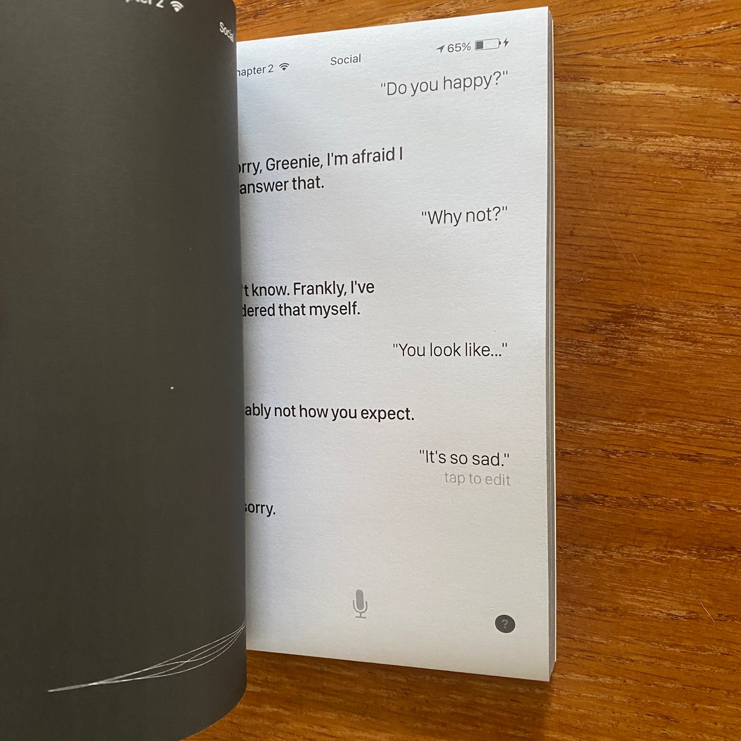 Talk to Siri (What Can I Help You With?) - Ziqing Ye