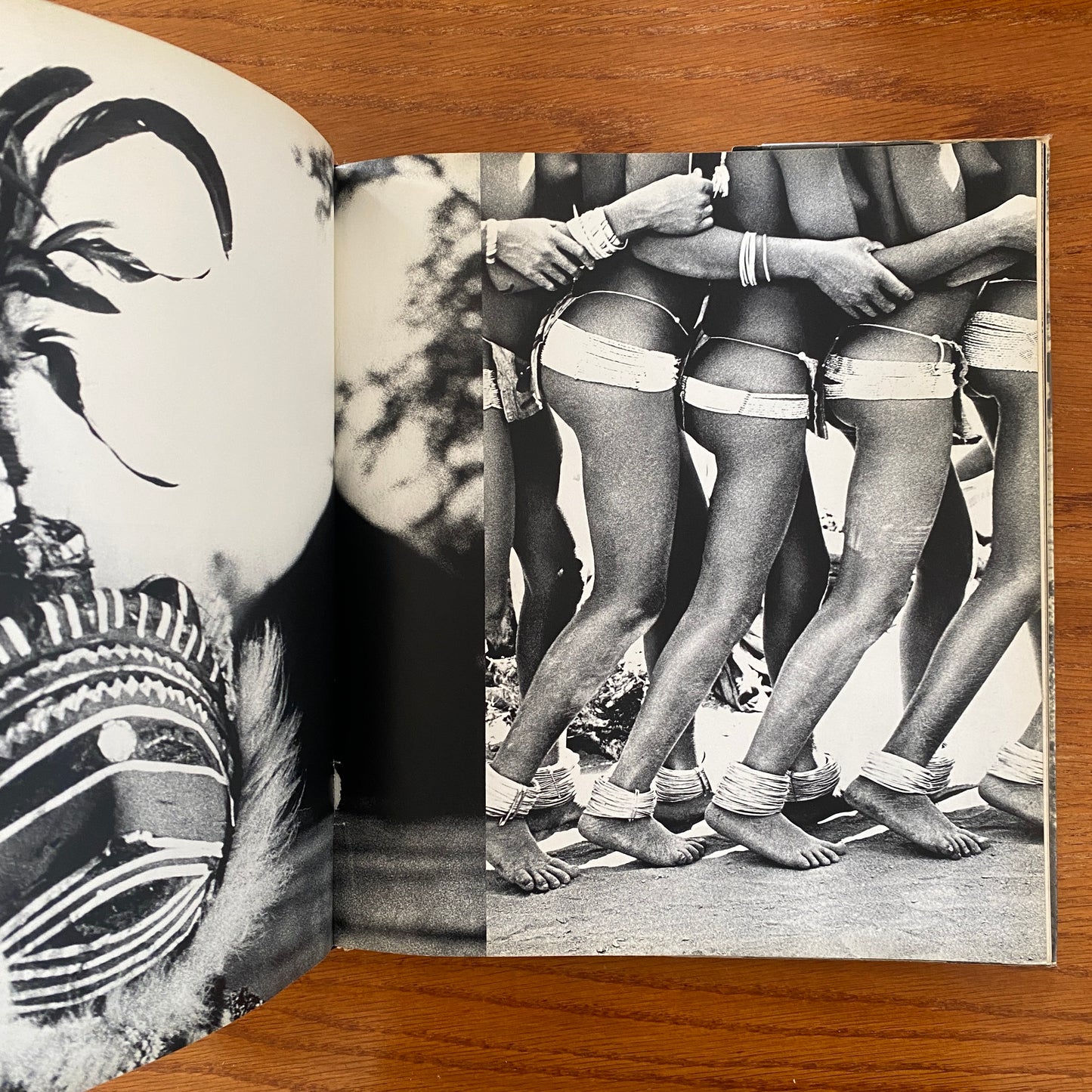 African Image - Sam Haskins