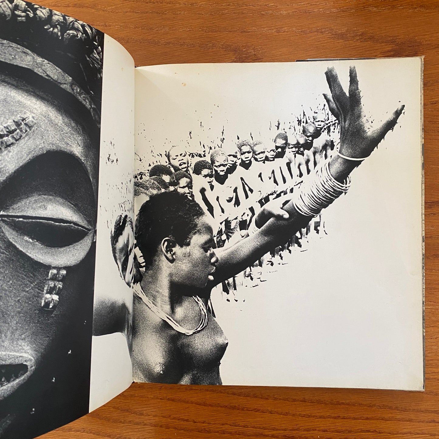 African Image - Sam Haskins