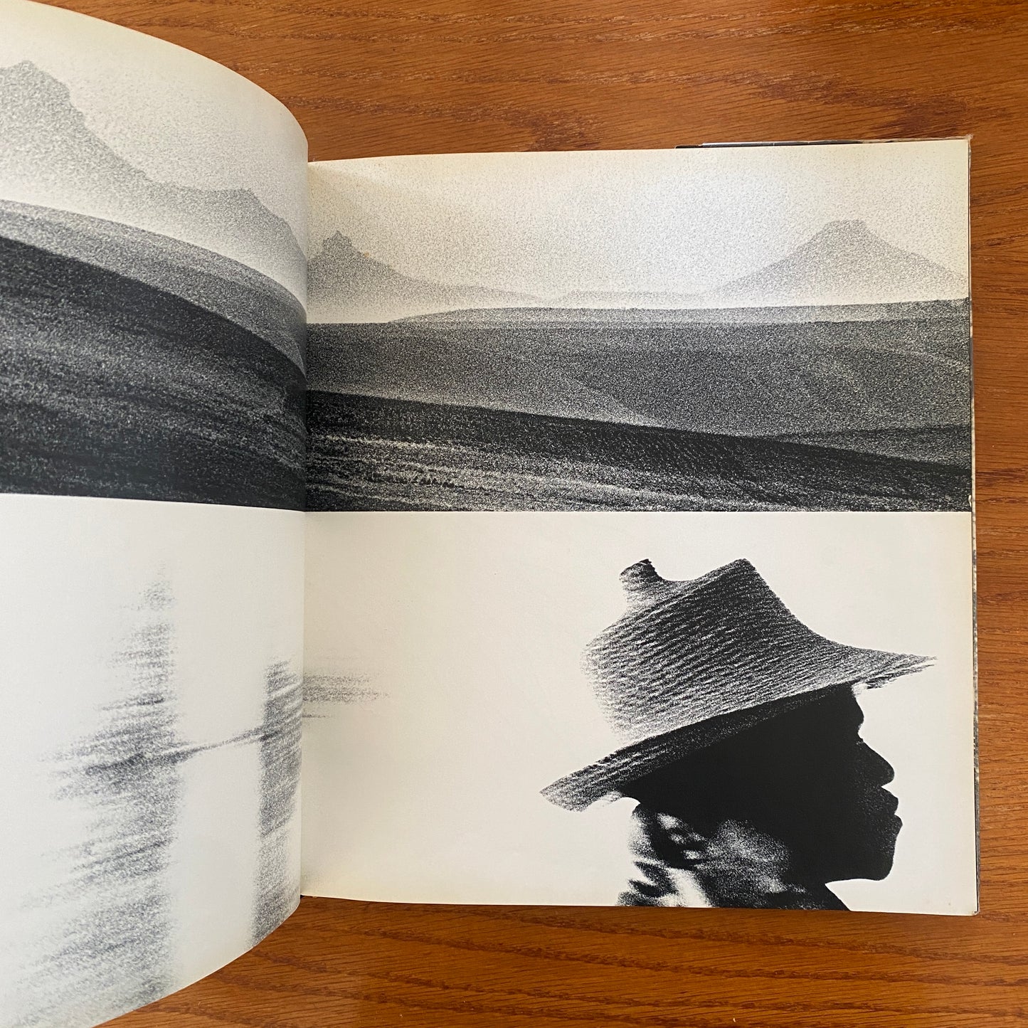 African Image - Sam Haskins