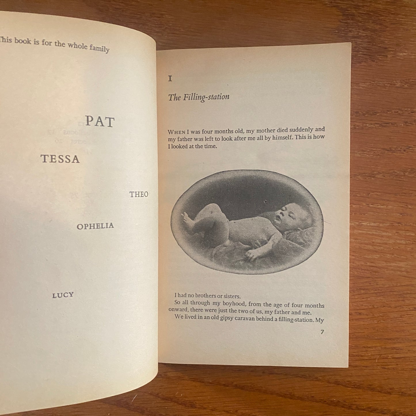 Roald Dahl - Danny Champion Of The World