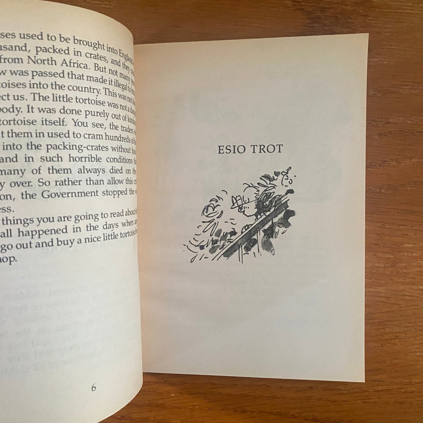 Roald Dahl - Esio Trot