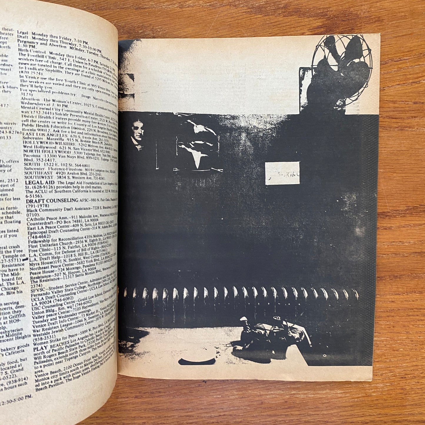 Steal This Book