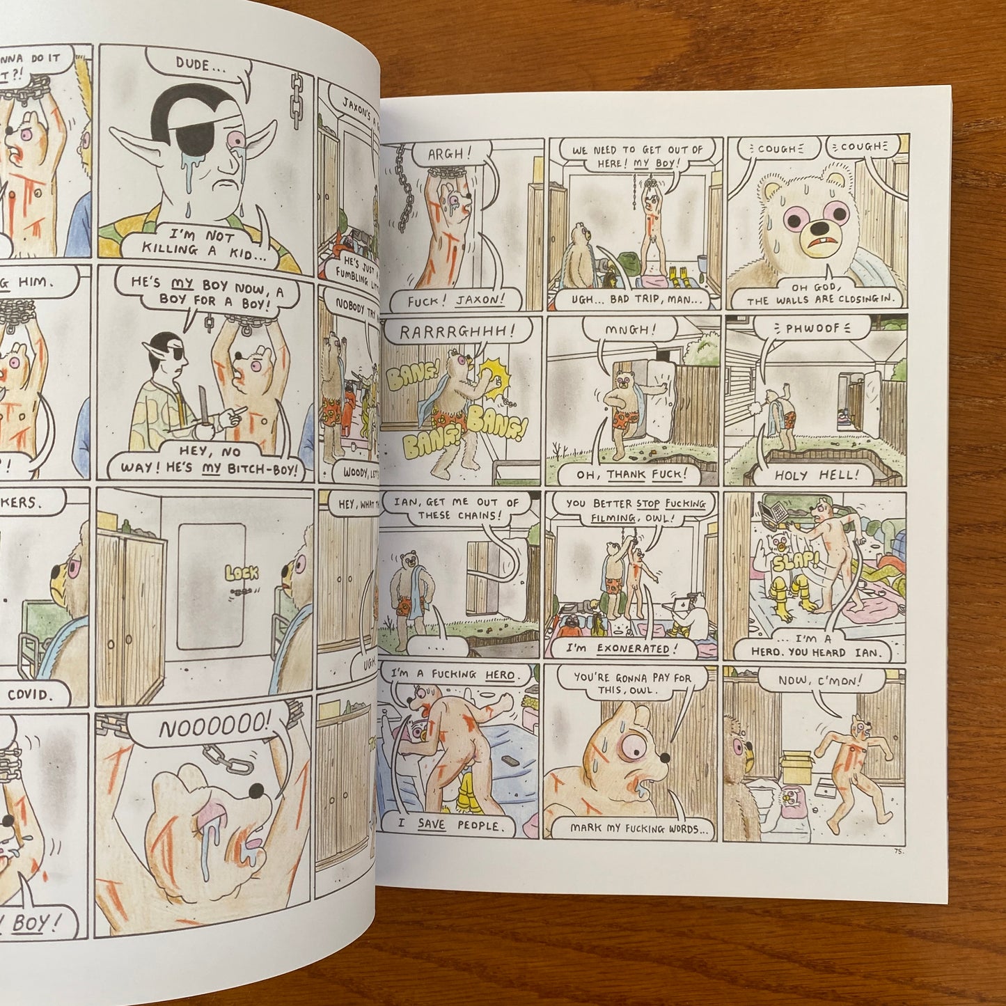 Simon Hanselmann - Crisis Zone