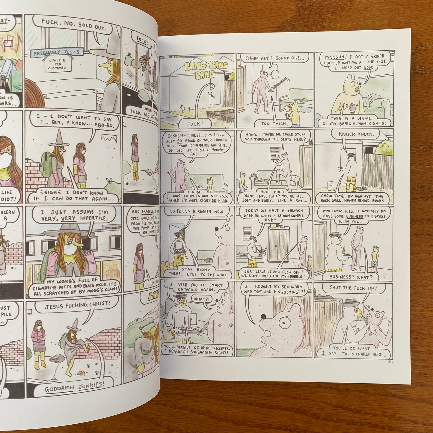 Simon Hanselmann - Crisis Zone