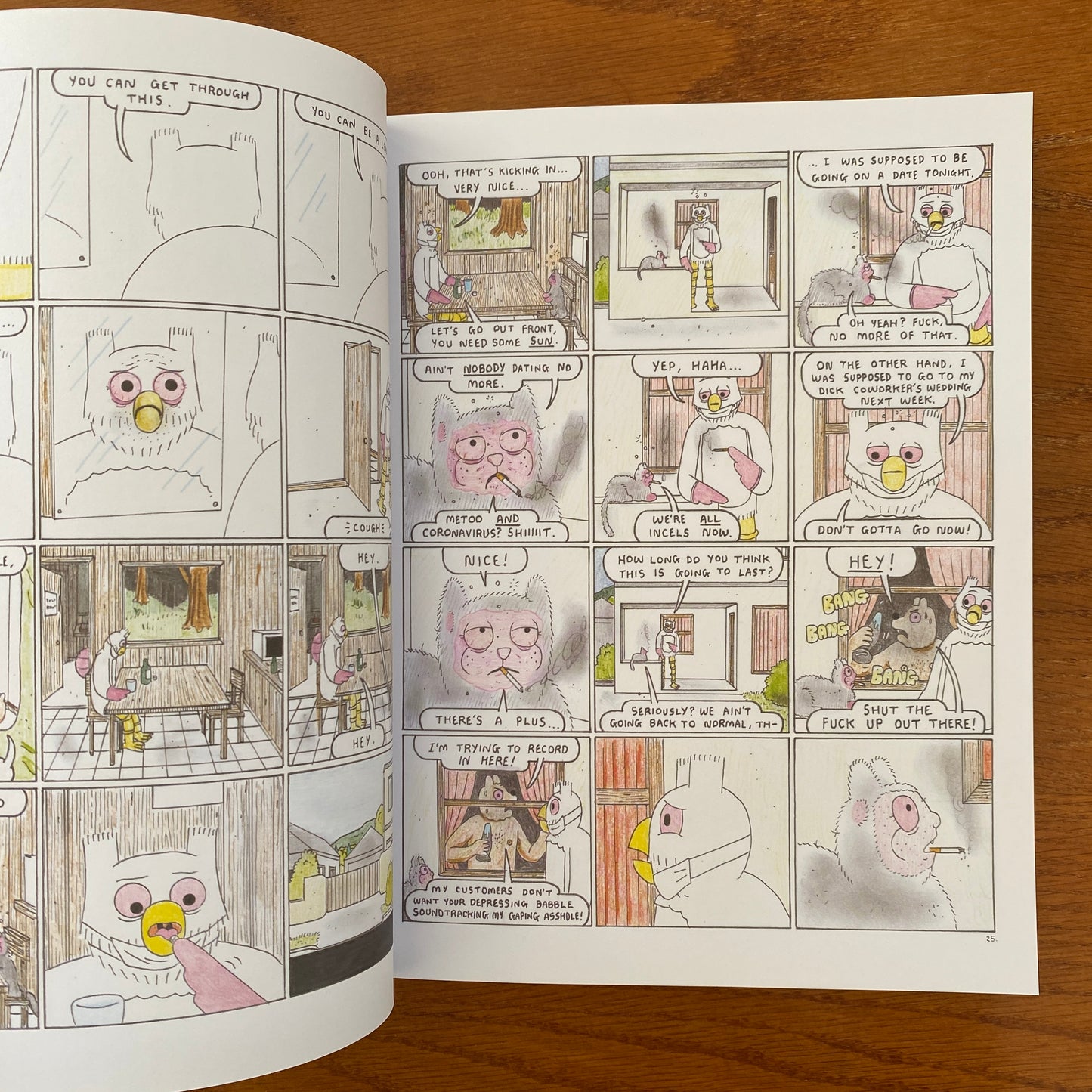 Simon Hanselmann - Crisis Zone