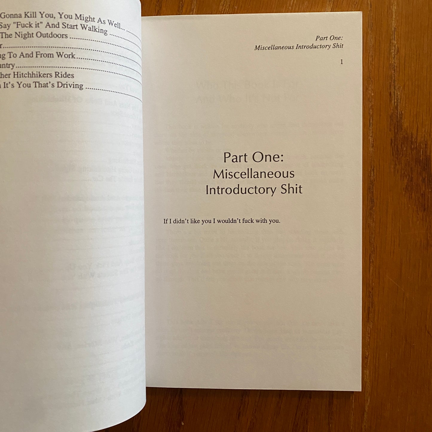 The Hitchhiker’s Handbook - James MacLaren