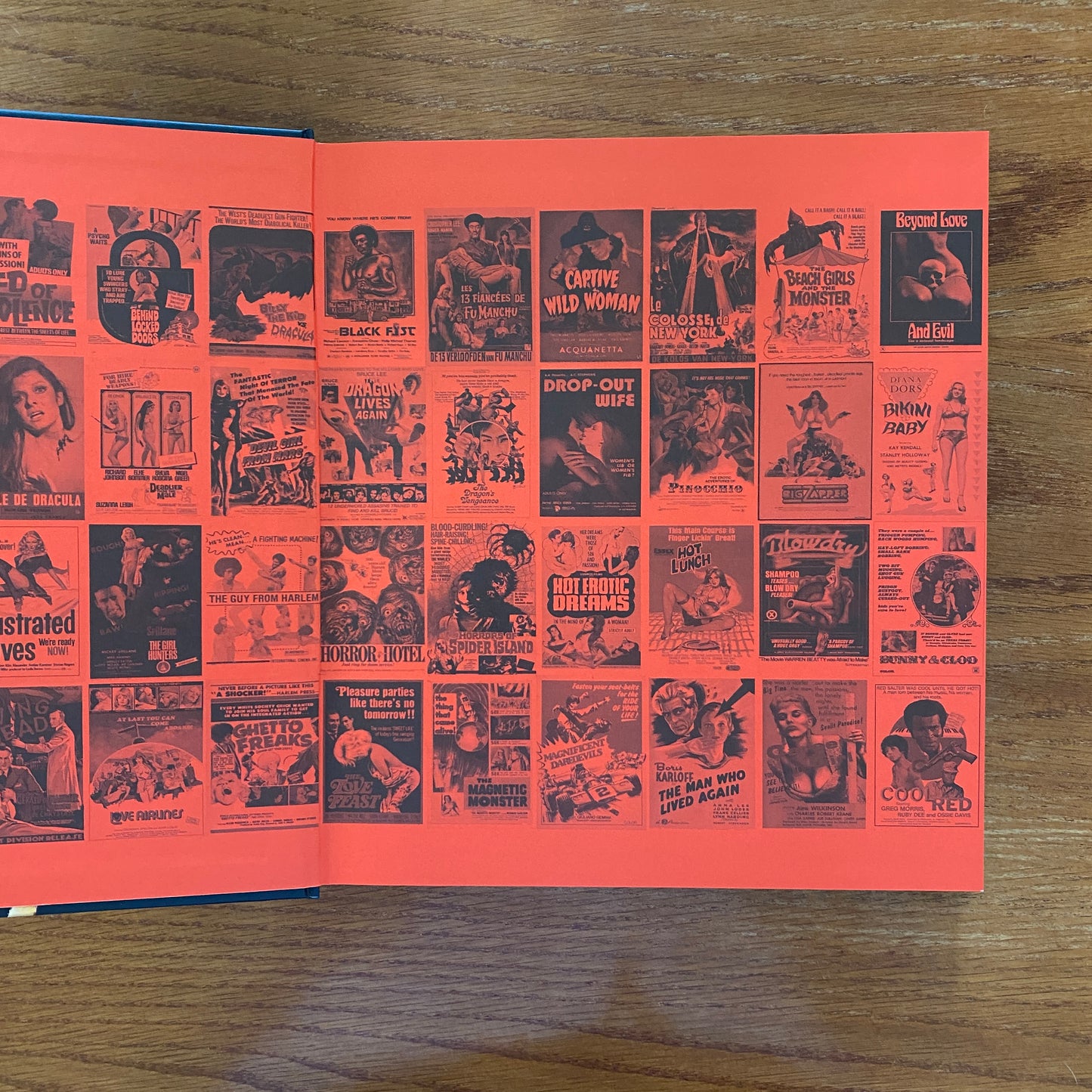 The Art Of The B Movie Poster - Adam Newell