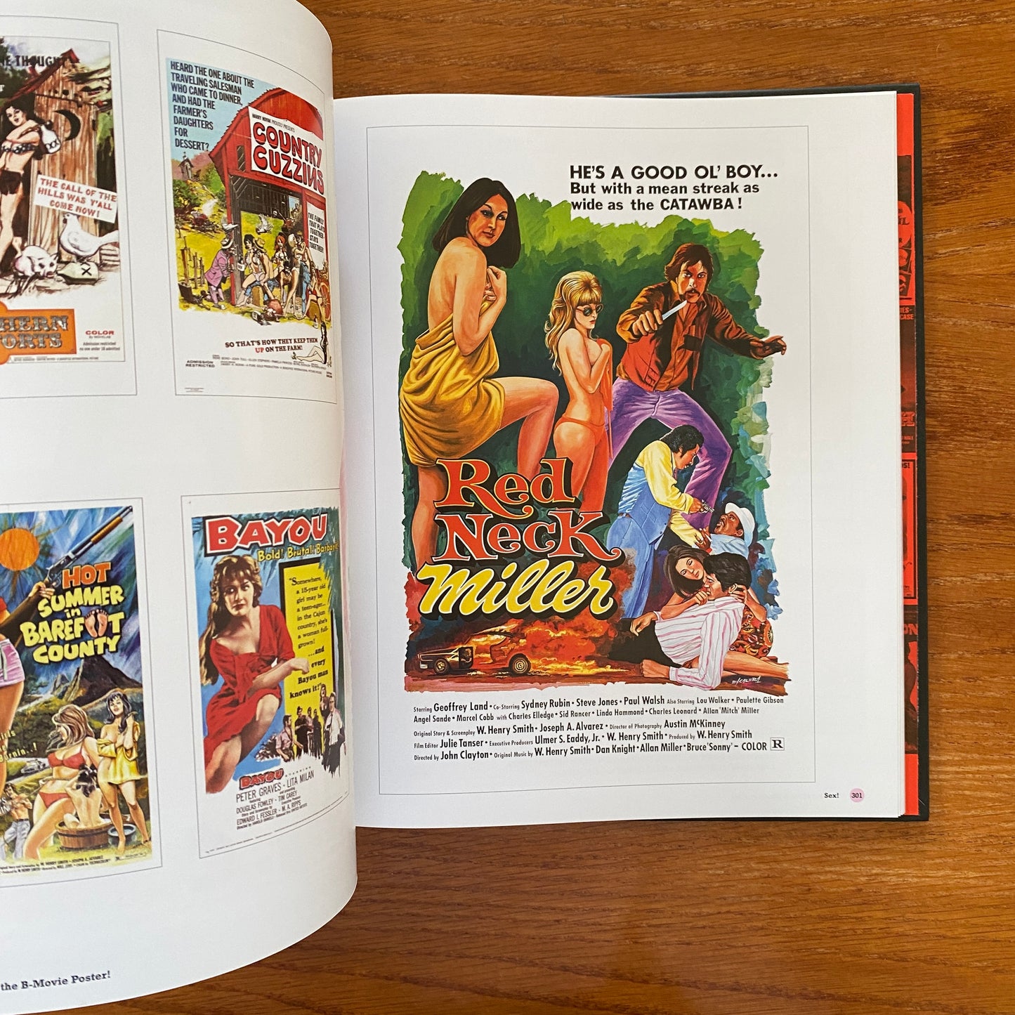 The Art Of The B Movie Poster - Adam Newell