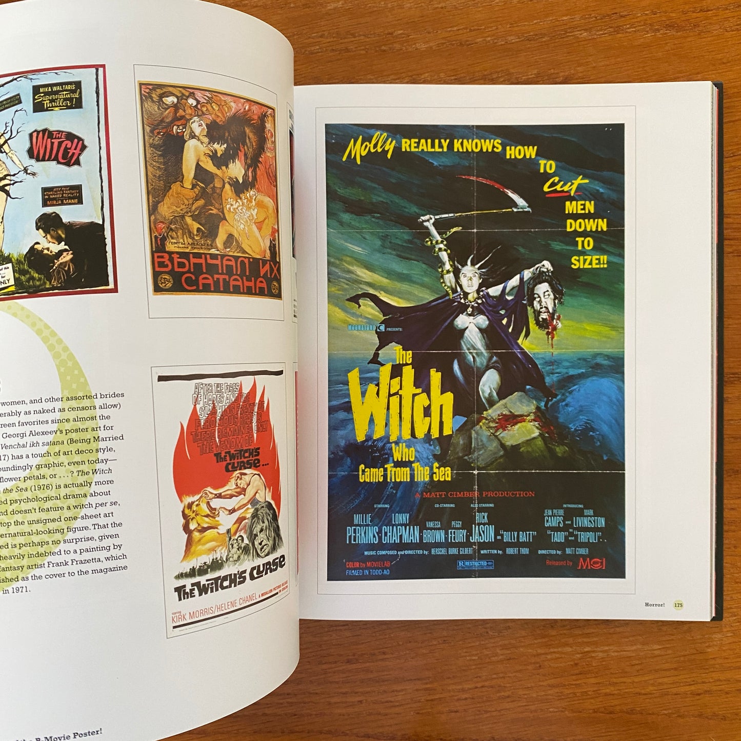 The Art Of The B Movie Poster - Adam Newell