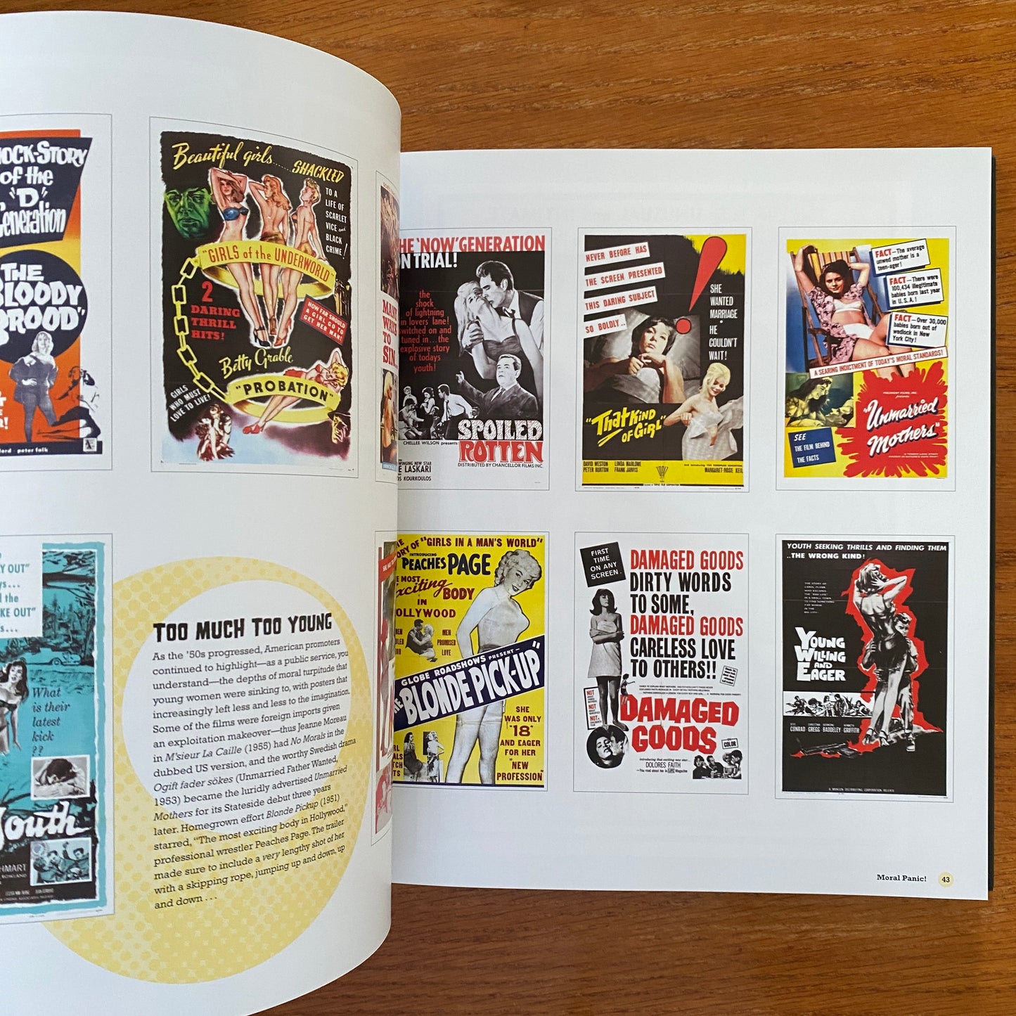 The Art Of The B Movie Poster - Adam Newell